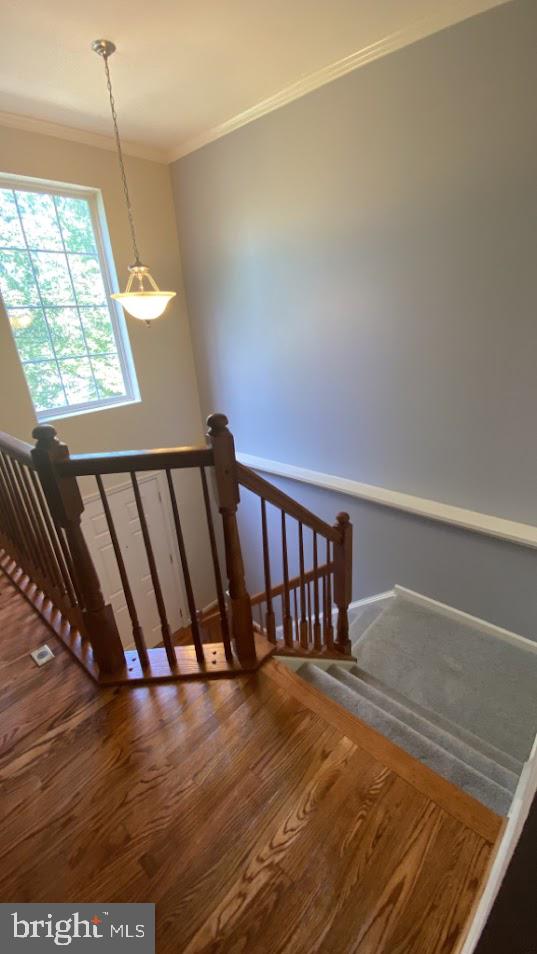 VILLAGE OF IDLEWILD - Residential Lease