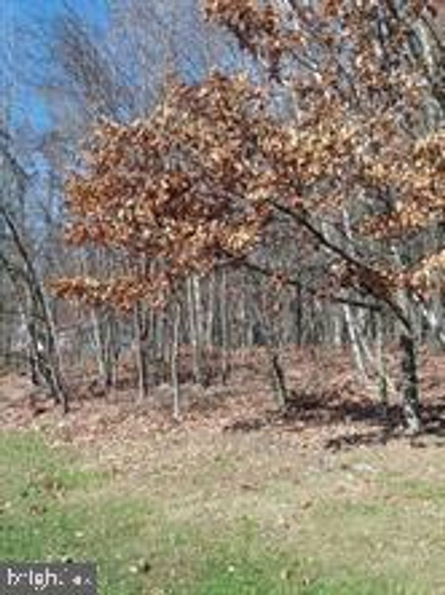 Picture your new home on this 1/2 acre lot in Longview Terrace.  Public water and sewer available to hook up to.  The seller already paid the hook up fees.  No appointment needed to view lot.   Lot #2