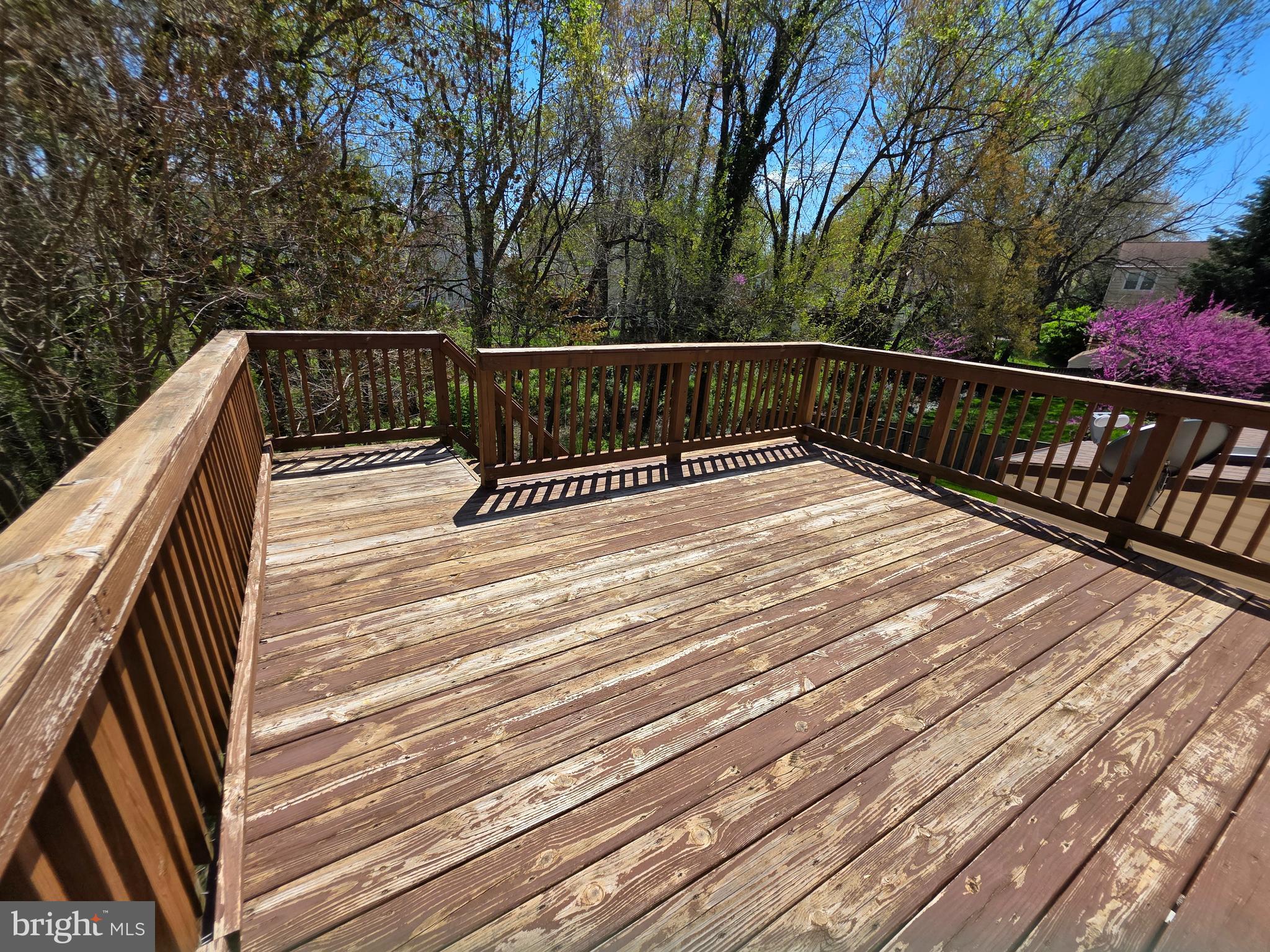 CARDINAL GLEN - Residential Lease