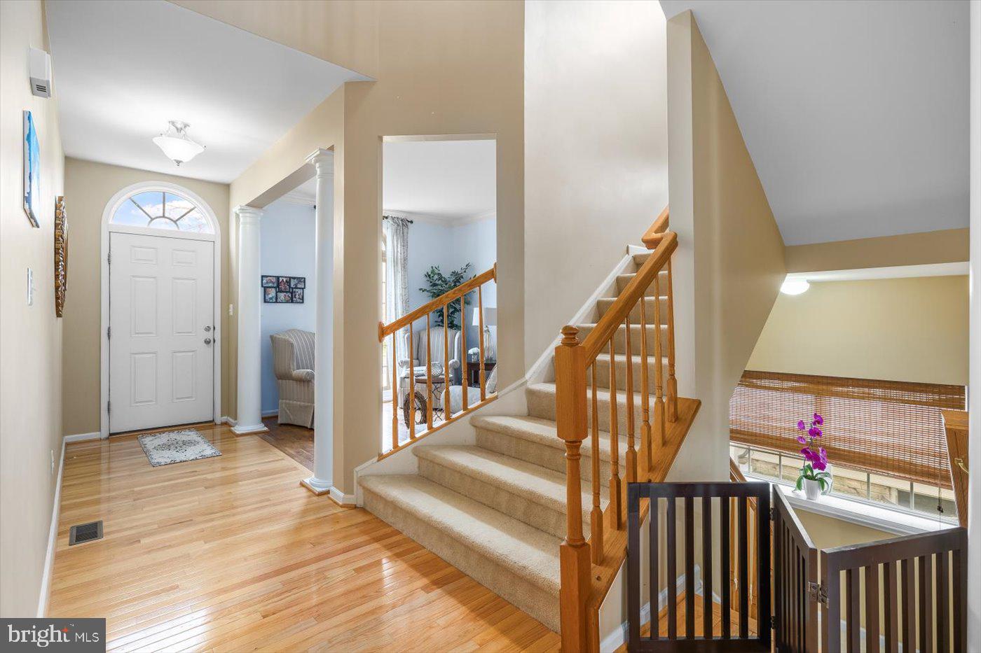 THE FALLS AT LEE'S PARKE - Residential