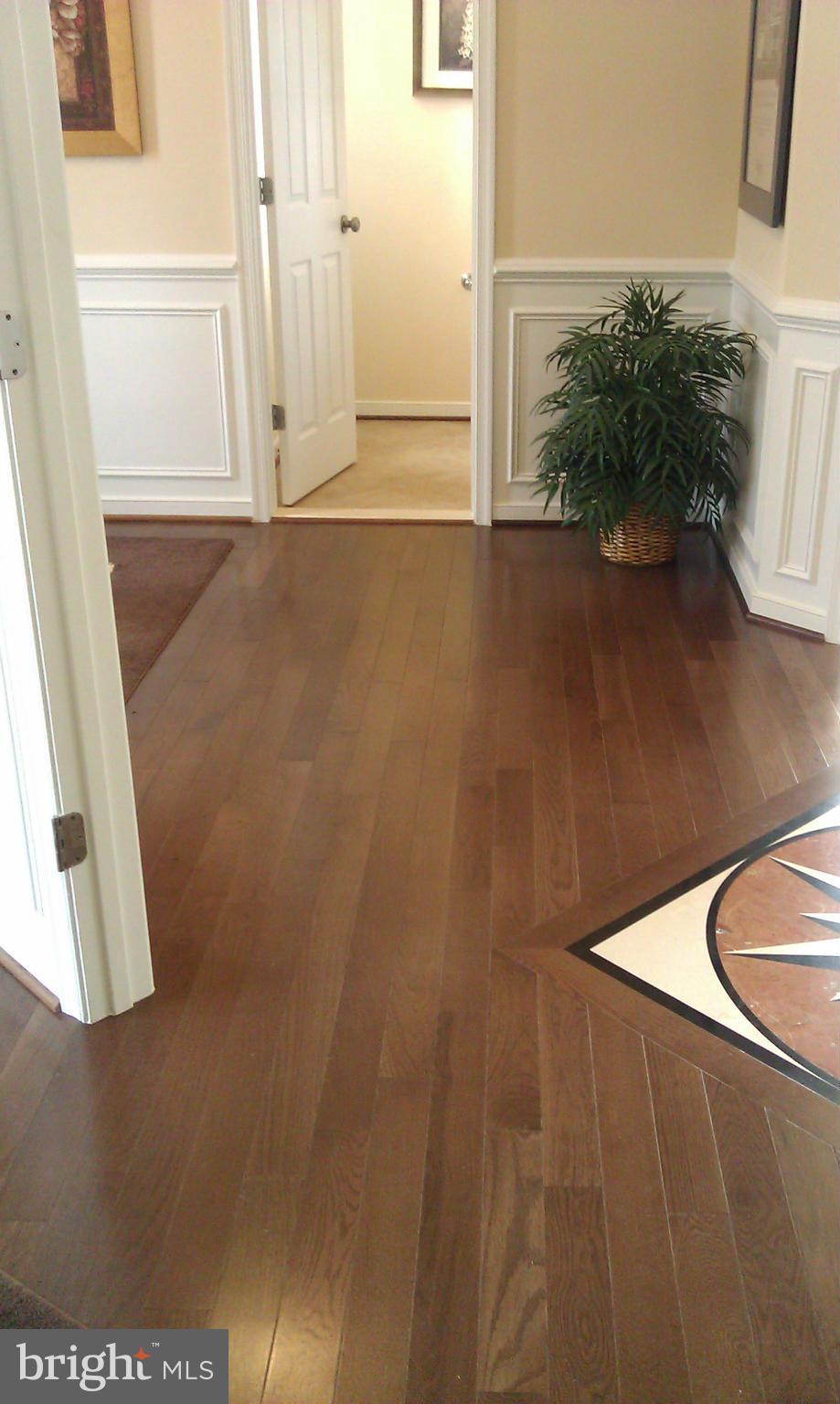 CARDINAL VIEW - Residential