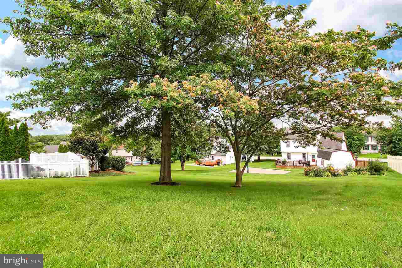 LEXINGTON MEADOWS - Residential