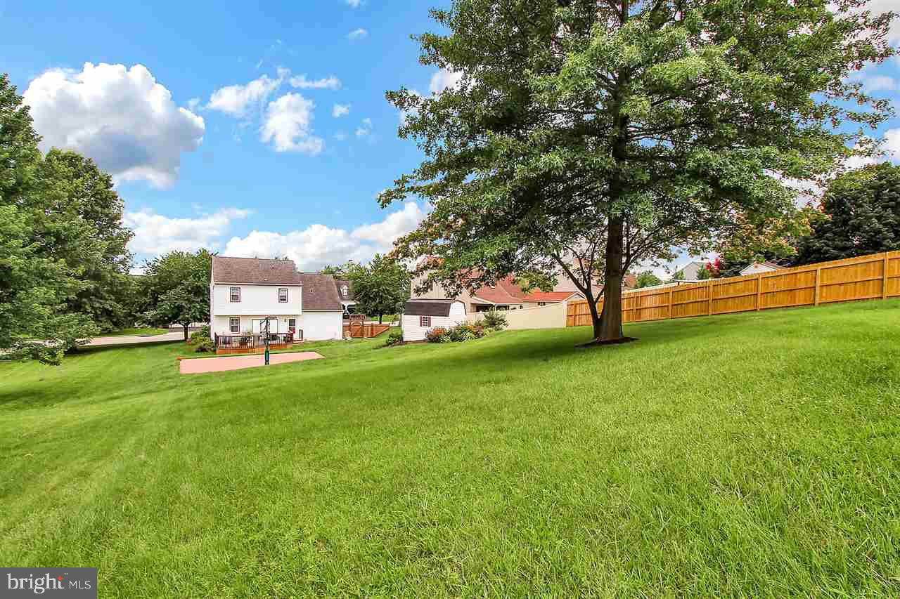 LEXINGTON MEADOWS - Residential