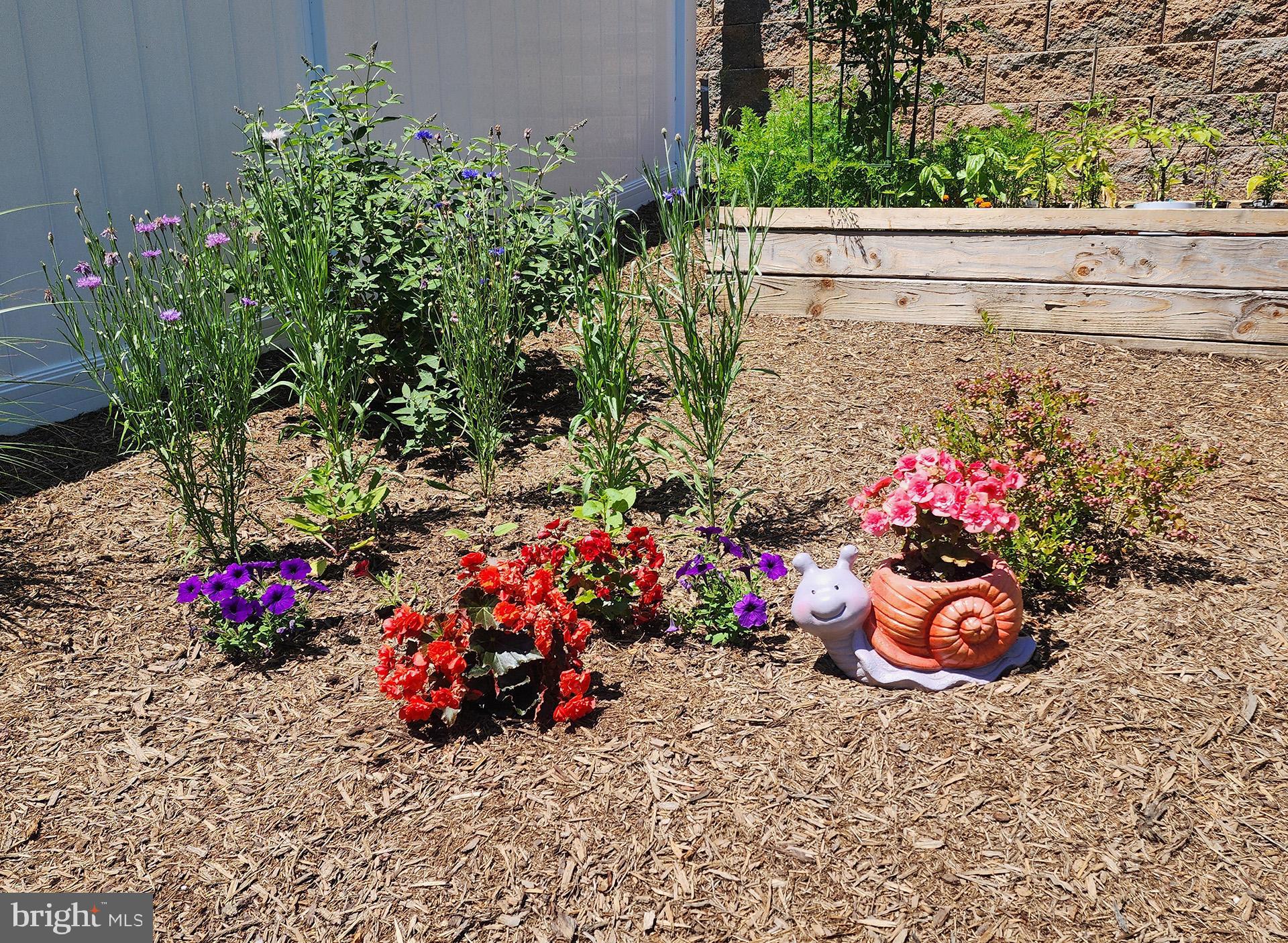 HIGHLAND WOODS - Residential