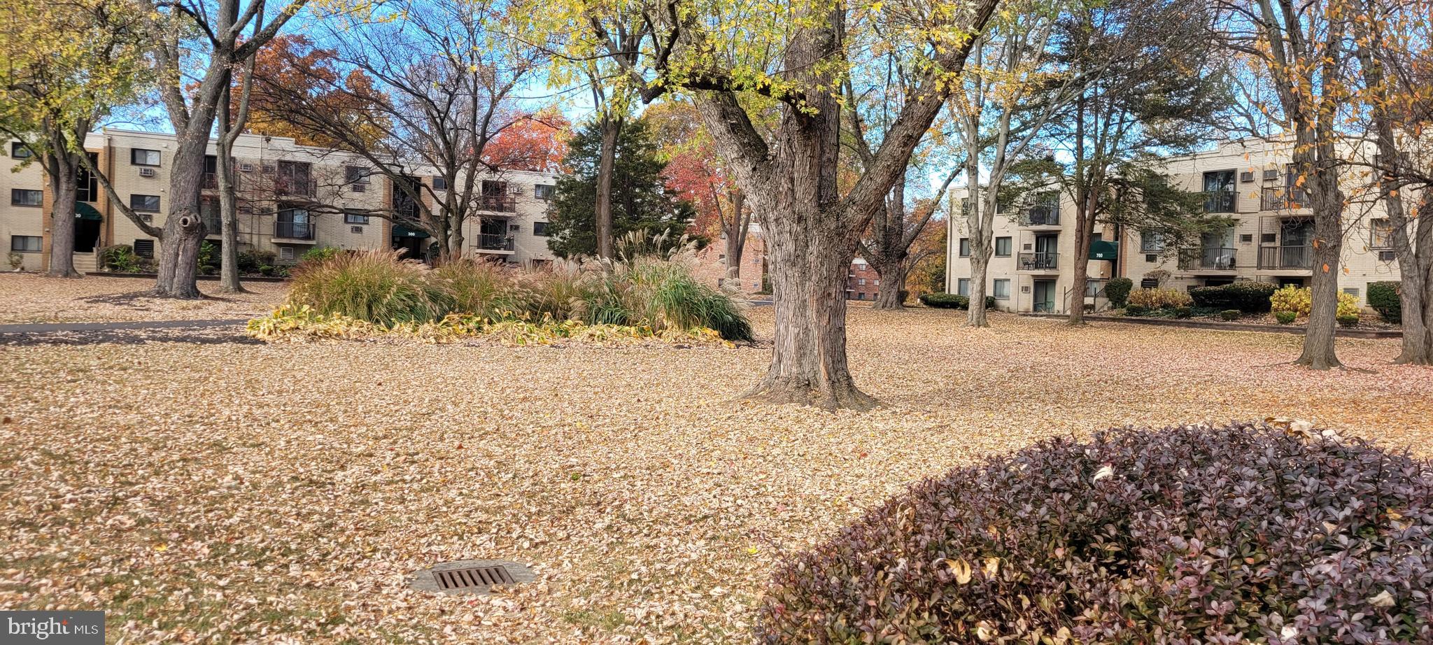 MEADOW WOOD - Residential