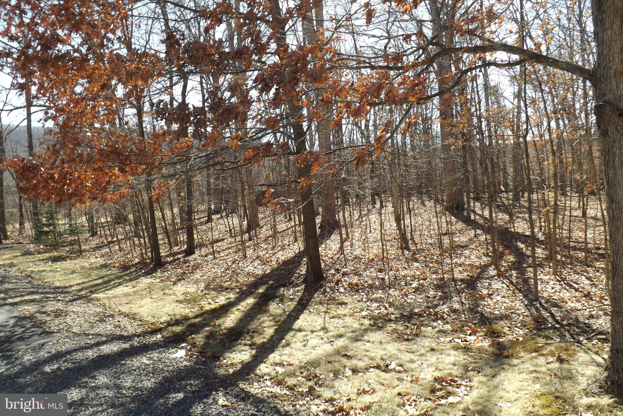 MEADOWLARK ACRES - Residential