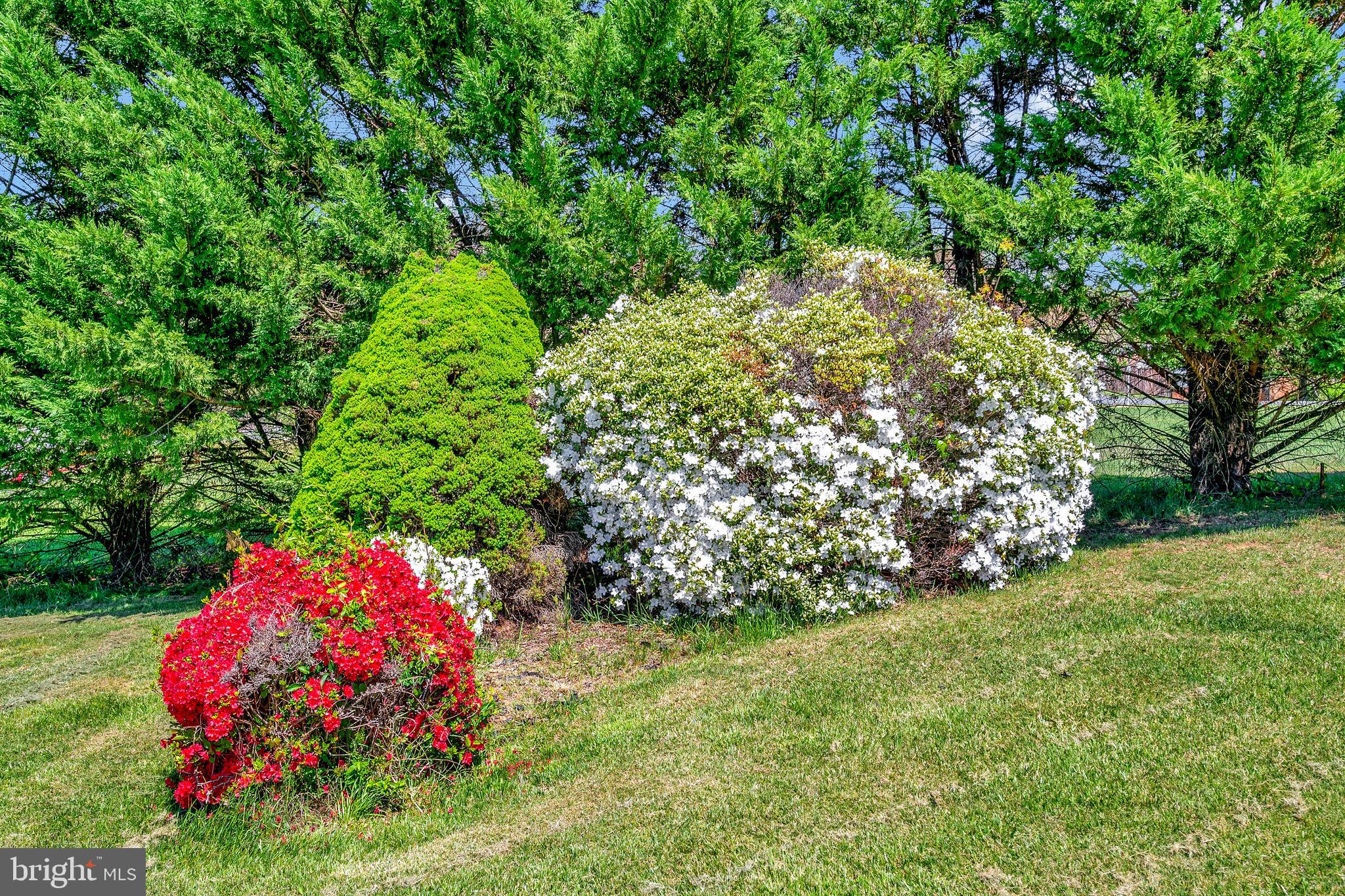 AQUIA RUN - Residential