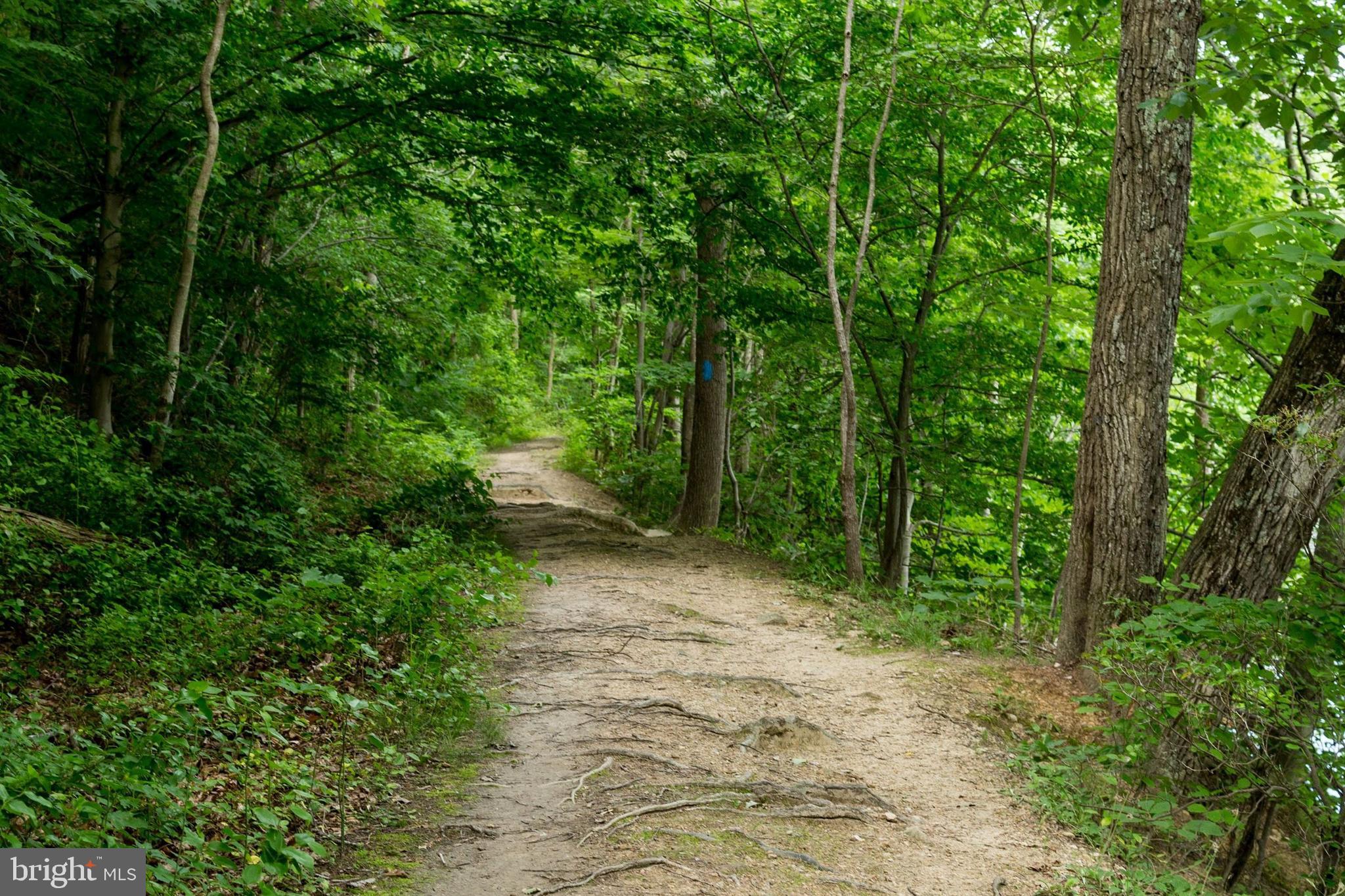 RIDGELEIGH - Residential