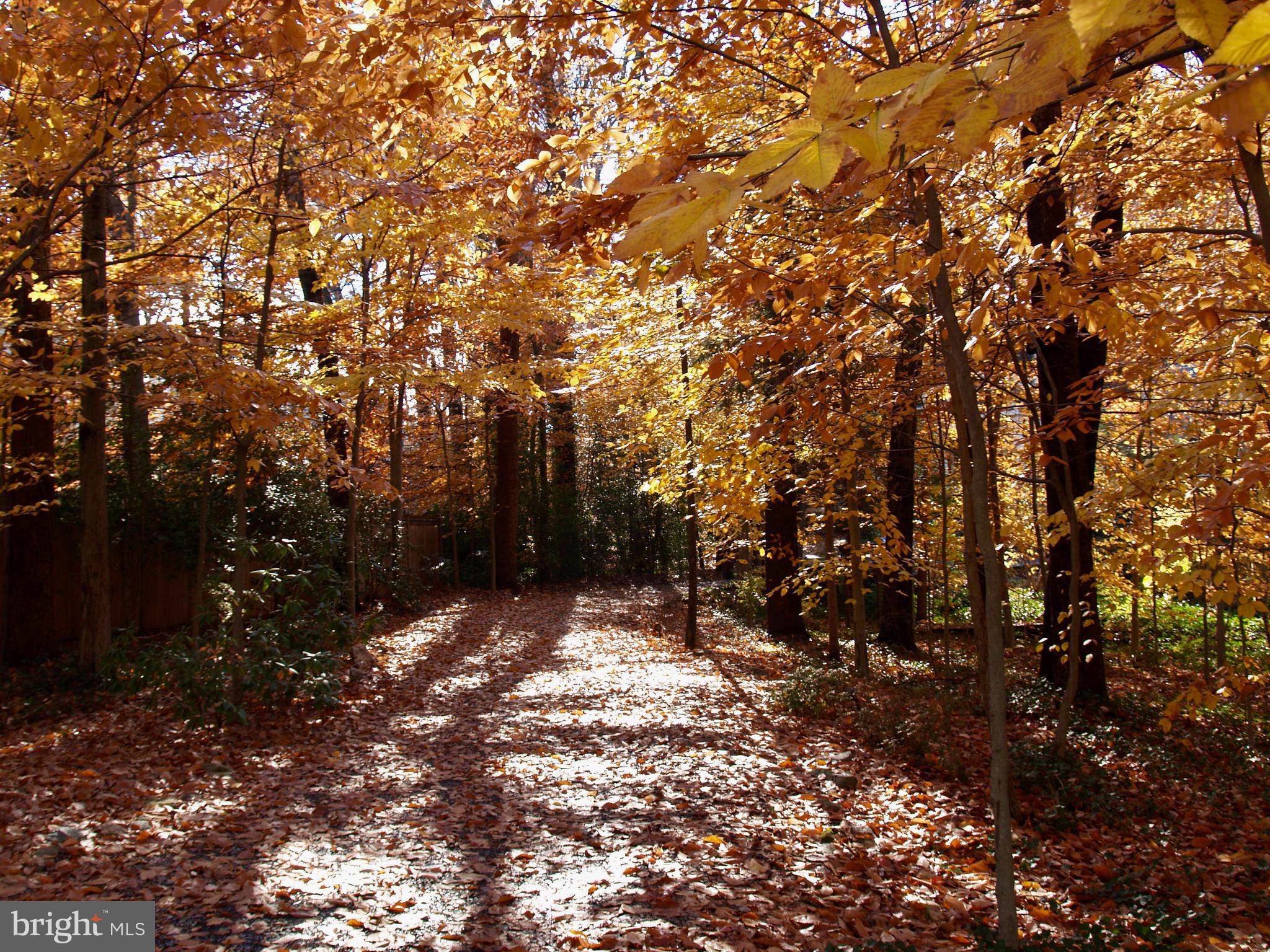 HILLMEAD - Residential