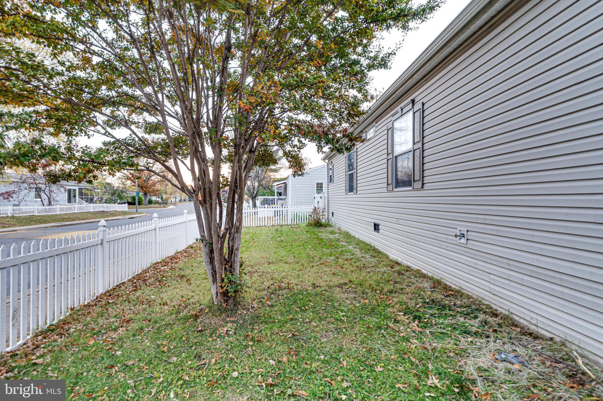 MEADOWS OF CHANTILLY - Residential