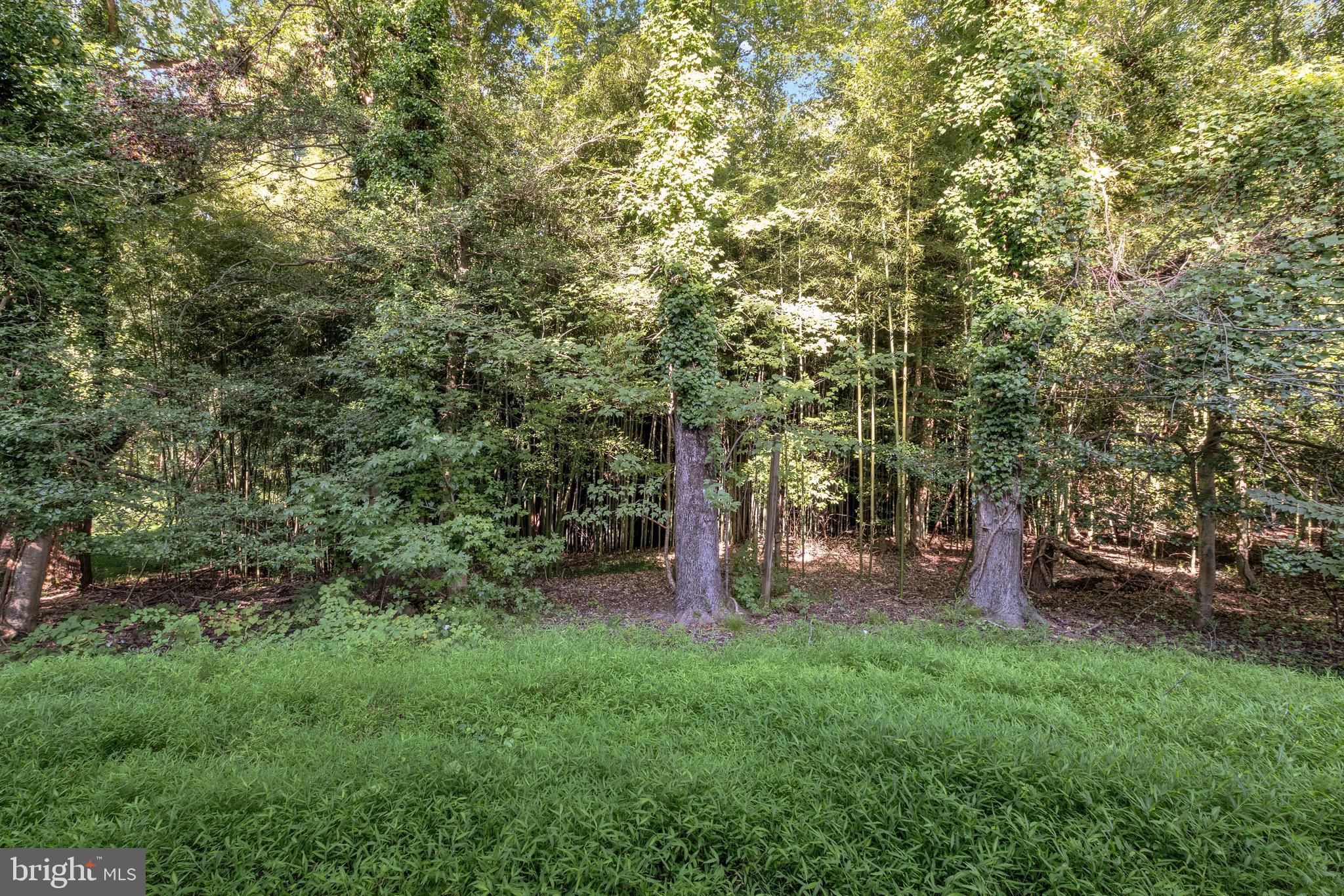 PROSPECT KNOLLS - Residential