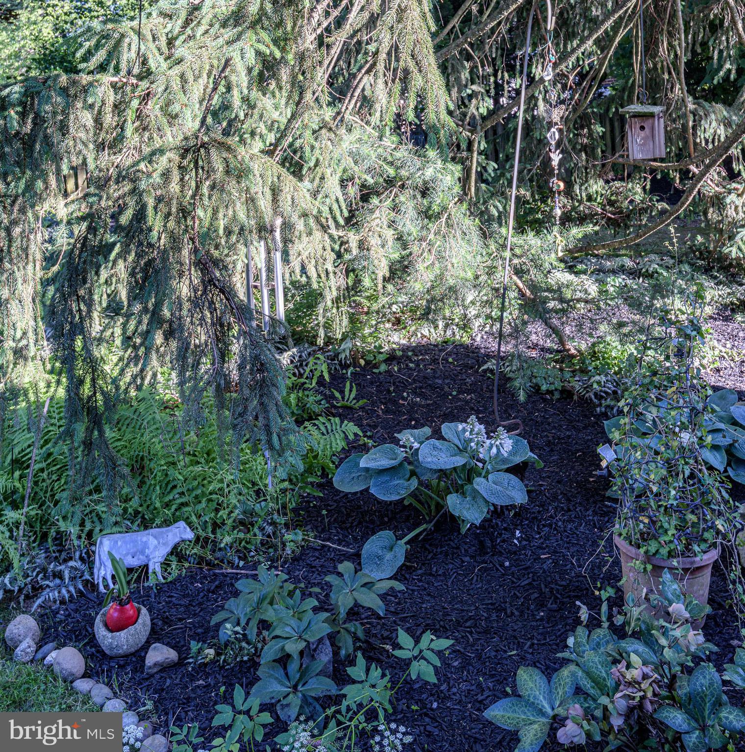 ARMAGH - Residential