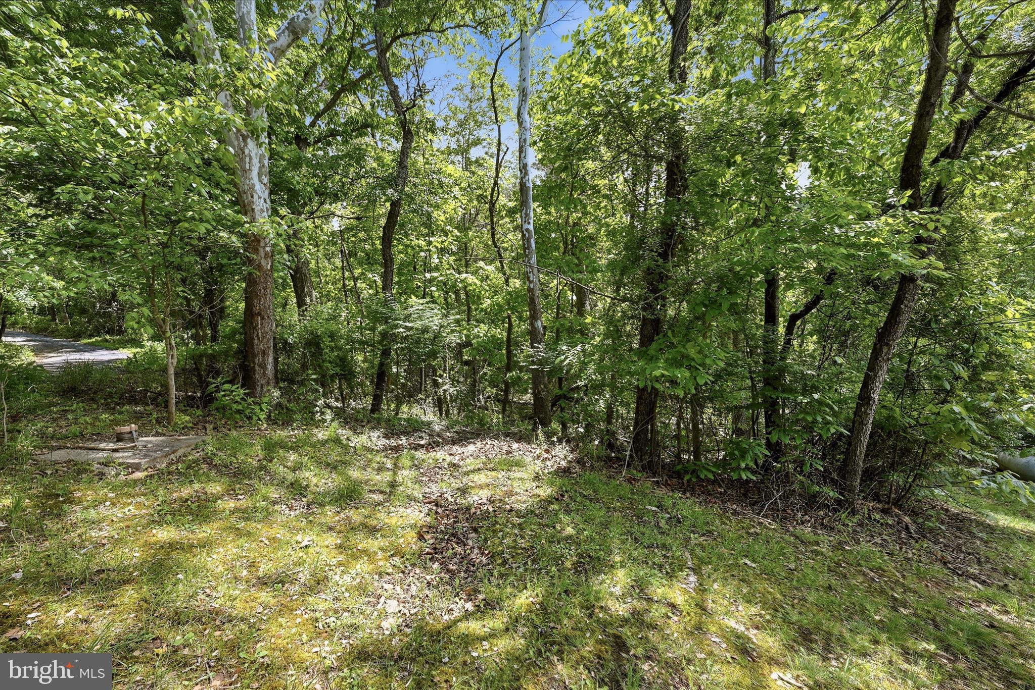 SHANNONDALE - Residential