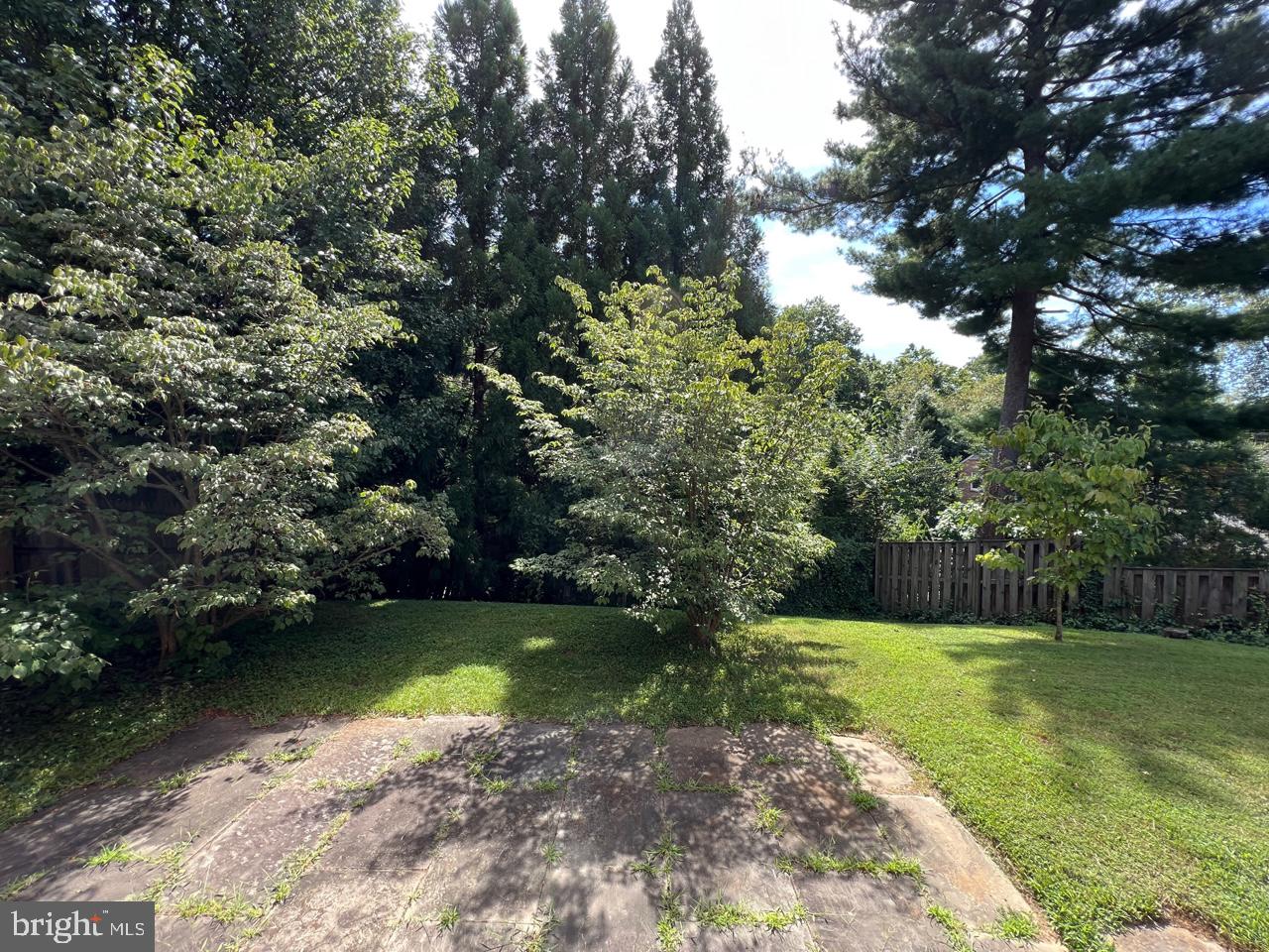 MASS AVE FOREST - Residential Lease