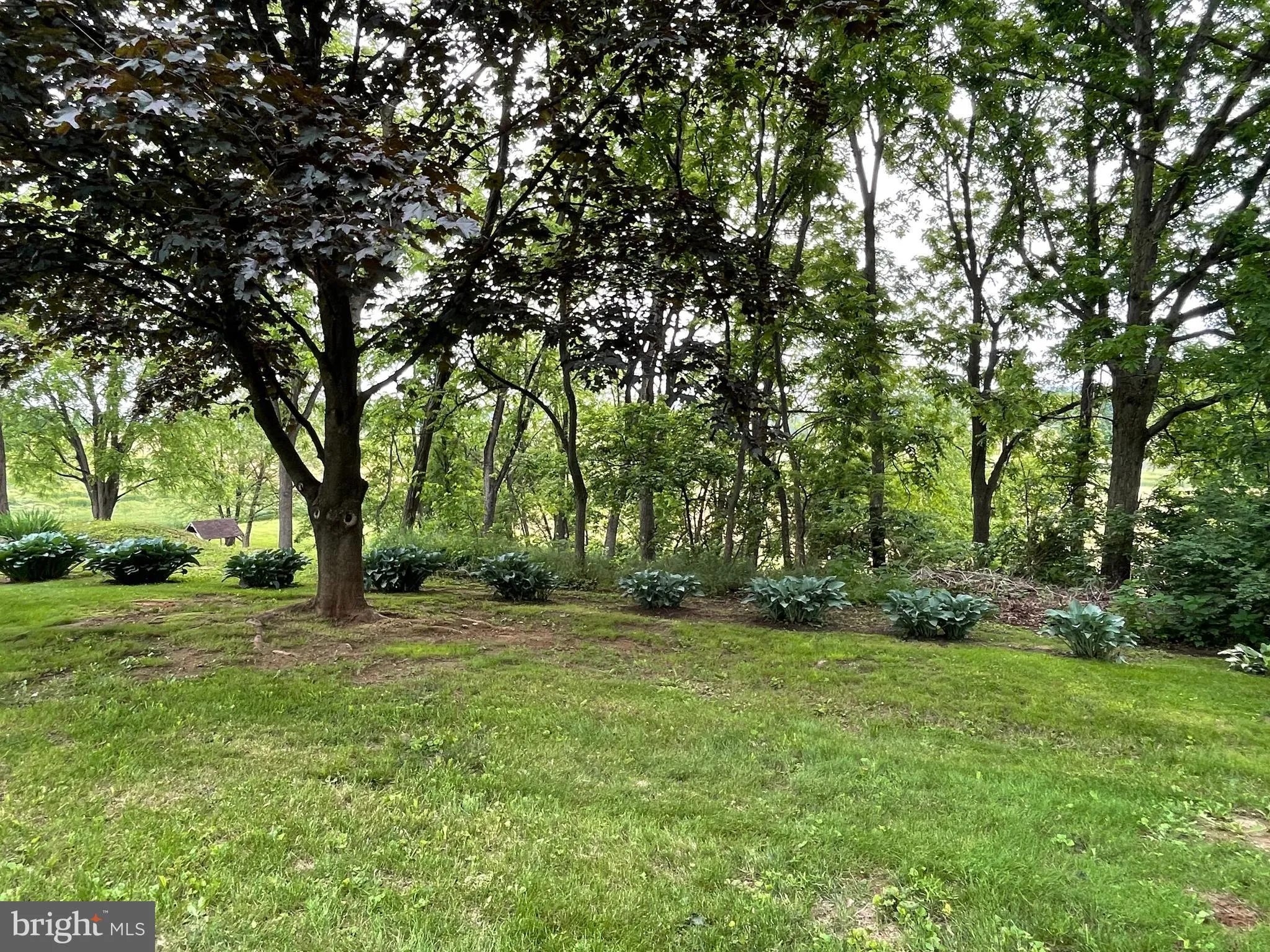 Shippensburg, Pennsylvania 17257, United States, 4 Bedrooms Bedrooms, ,3 BathroomsBathrooms,Residential,Pending,135844