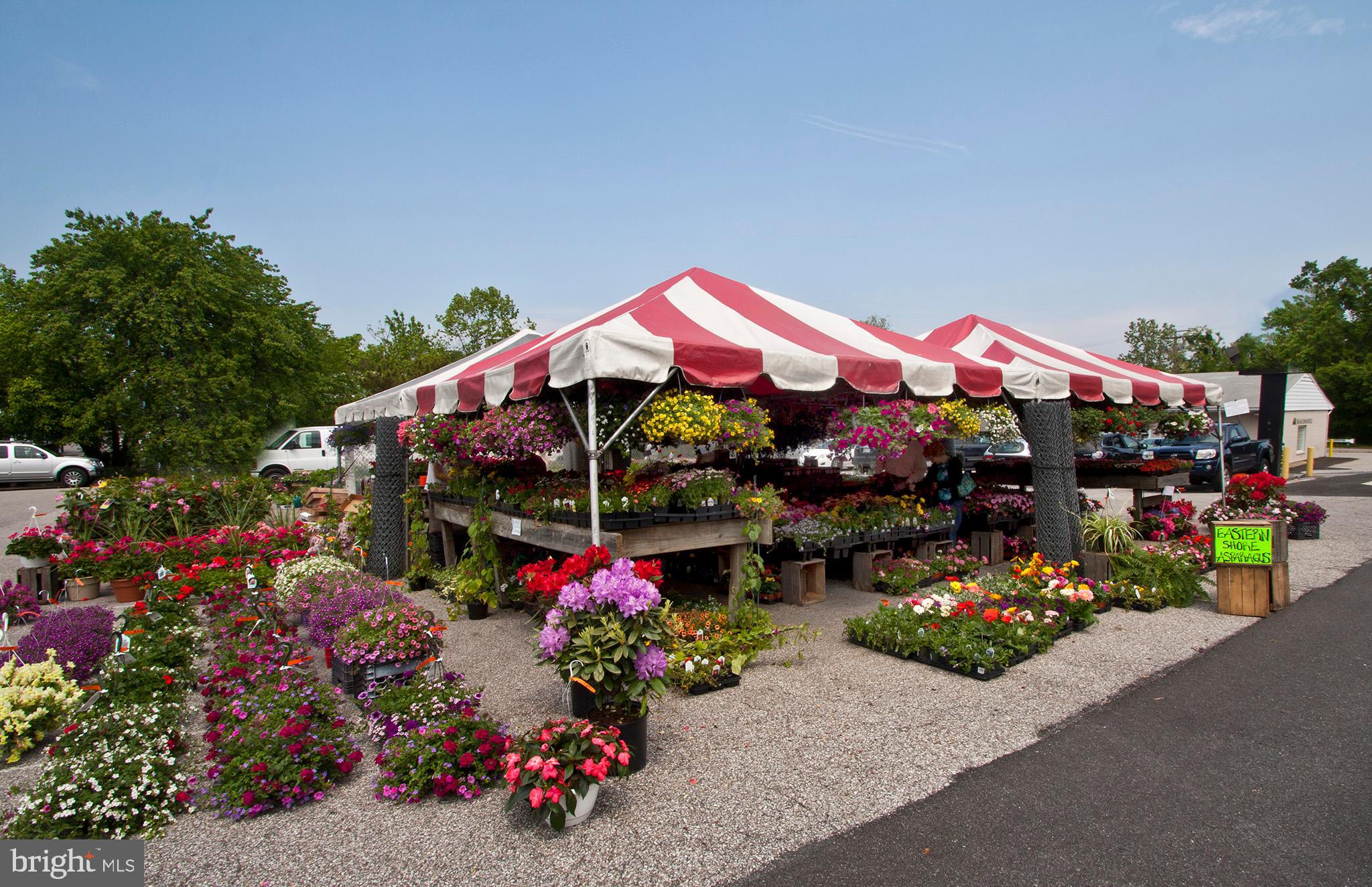 SEVERNA FOREST - Residential
