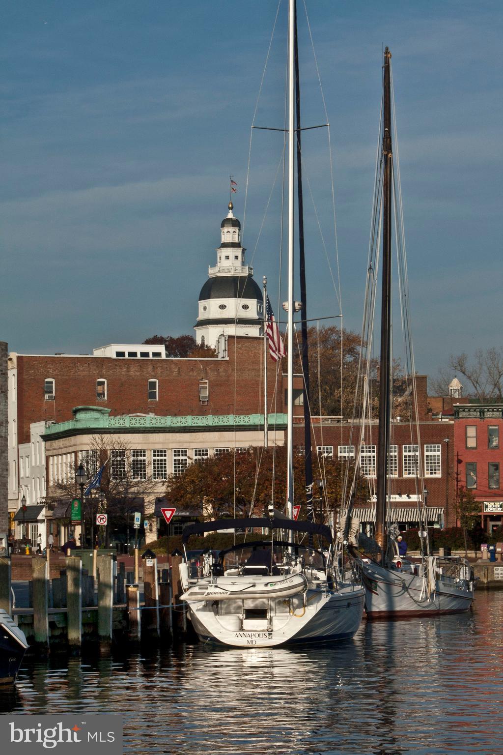 SEVERNA FOREST - Residential