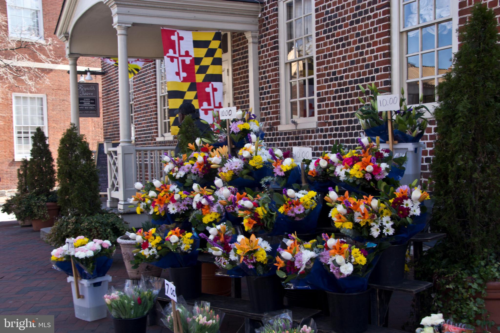 SEVERNA FOREST - Residential