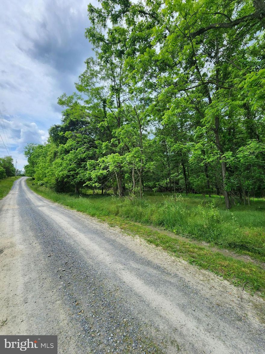 Incredible building lot in Parks Hollow subdivision. Five acres ready & waiting on you to build on NOW!