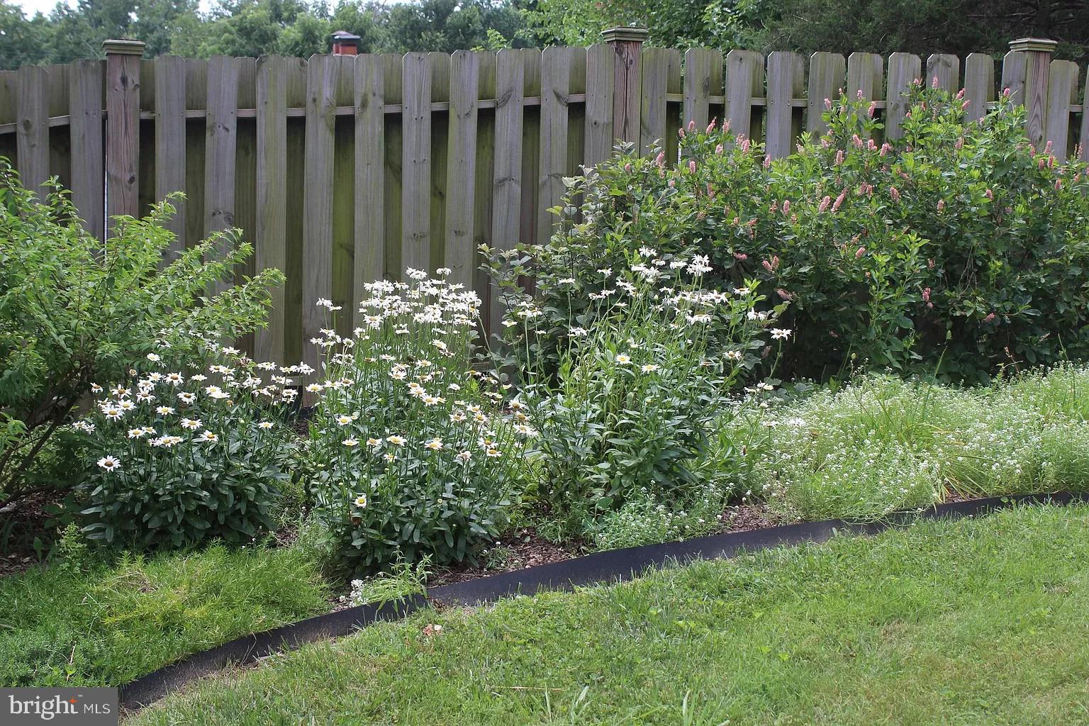 ADELPHI KNOLLS - Residential