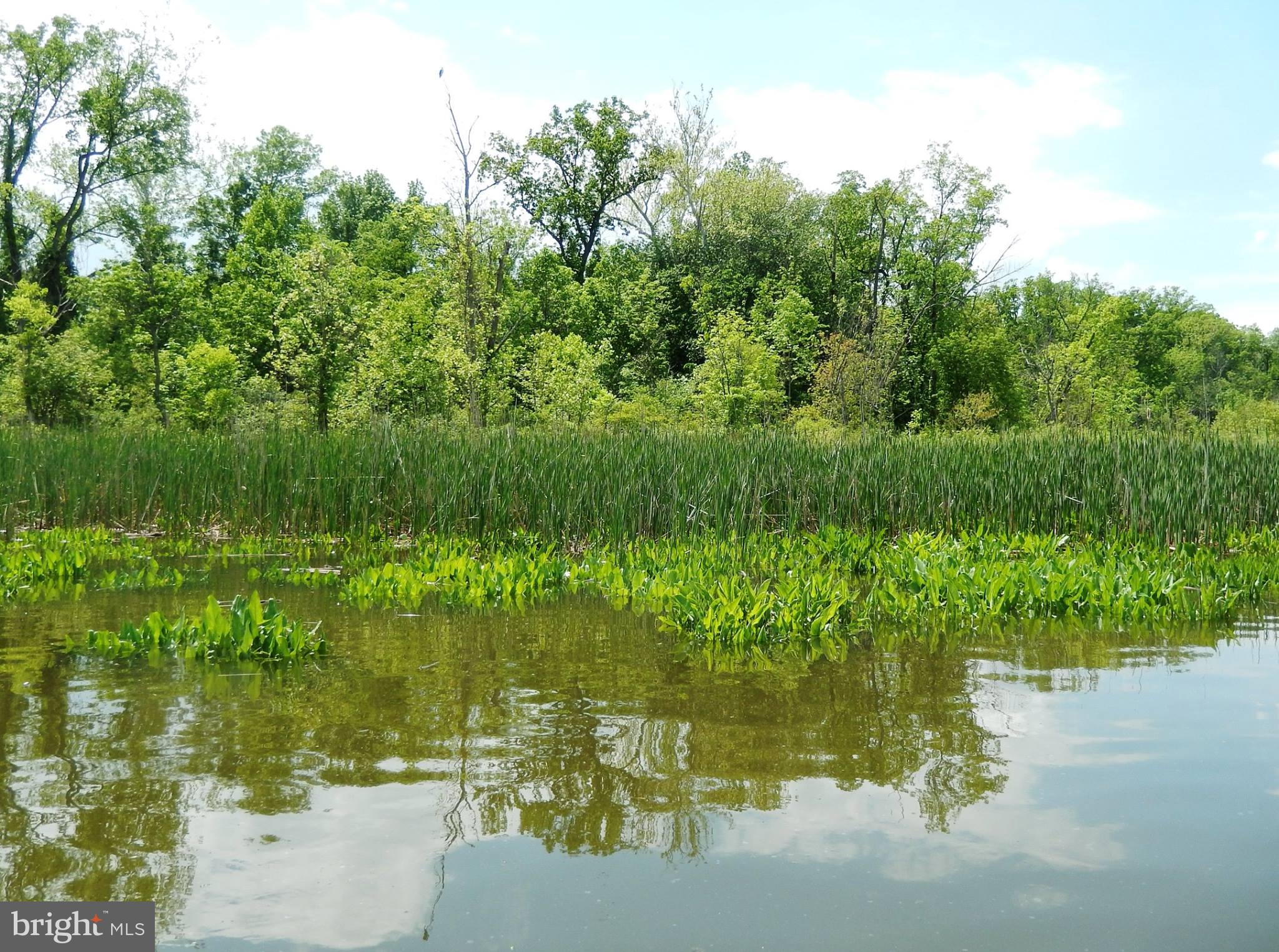 STRATFORD LANDING - Residential
