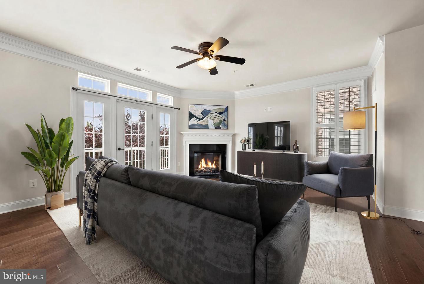 42572 WILDLY TERRACE