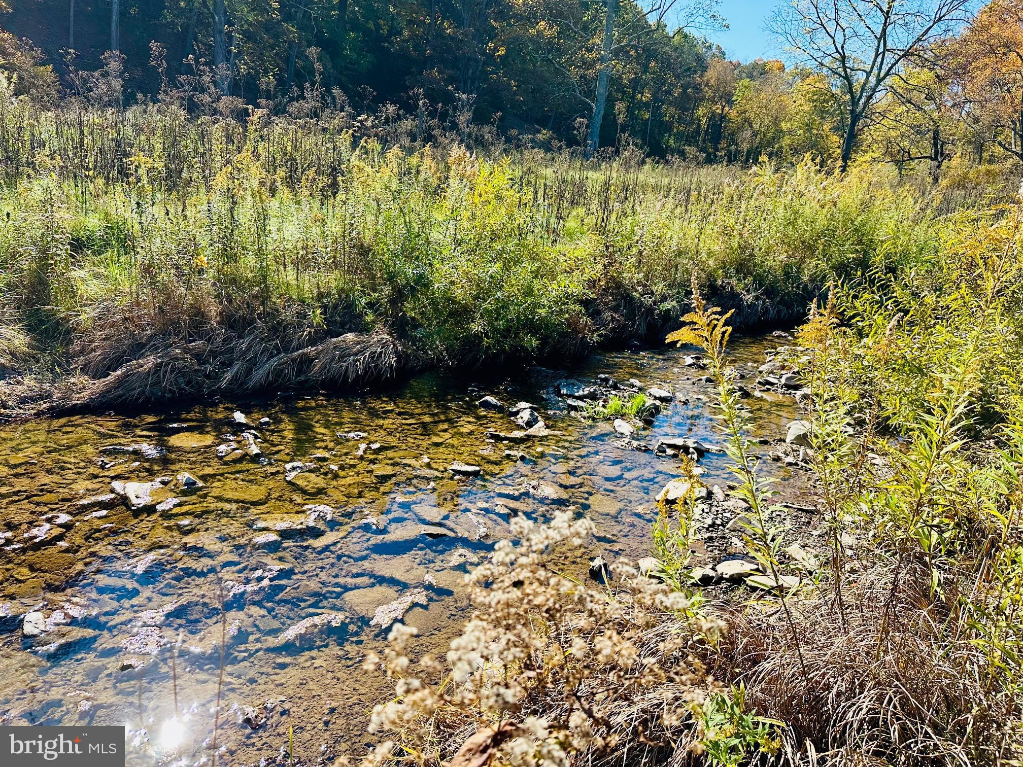 NONE AVAILABLE - Land