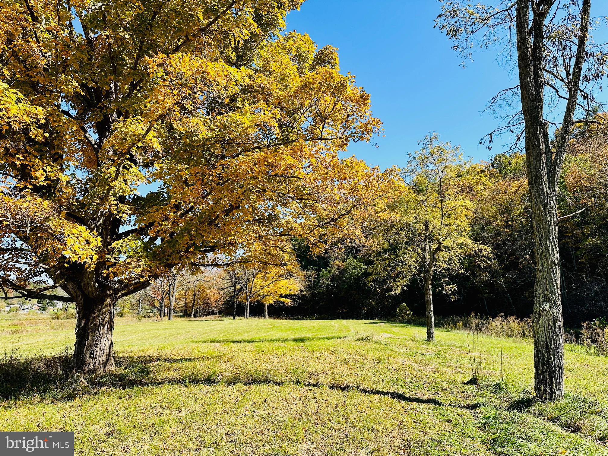 NONE AVAILABLE - Land