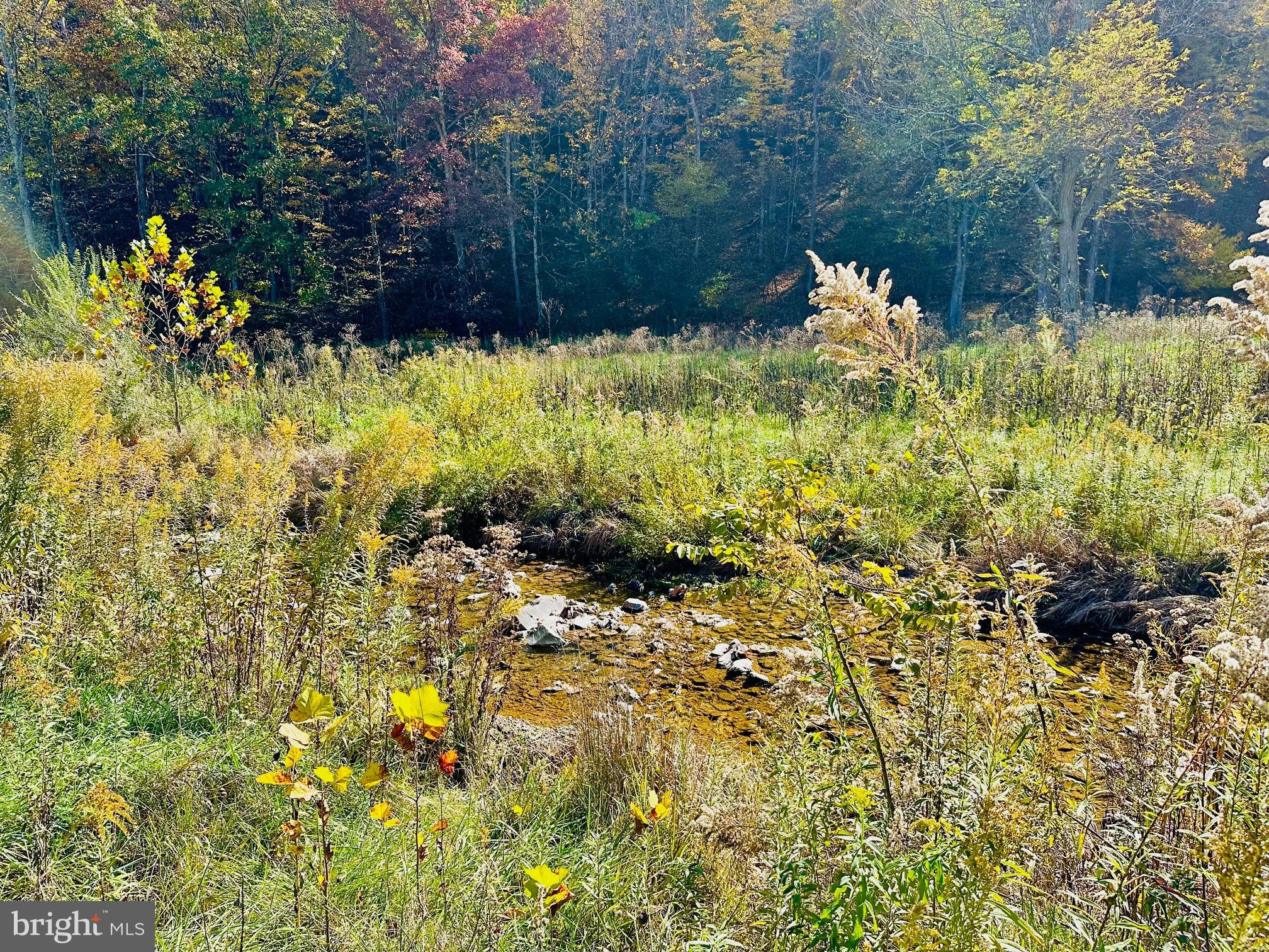 NONE AVAILABLE - Land