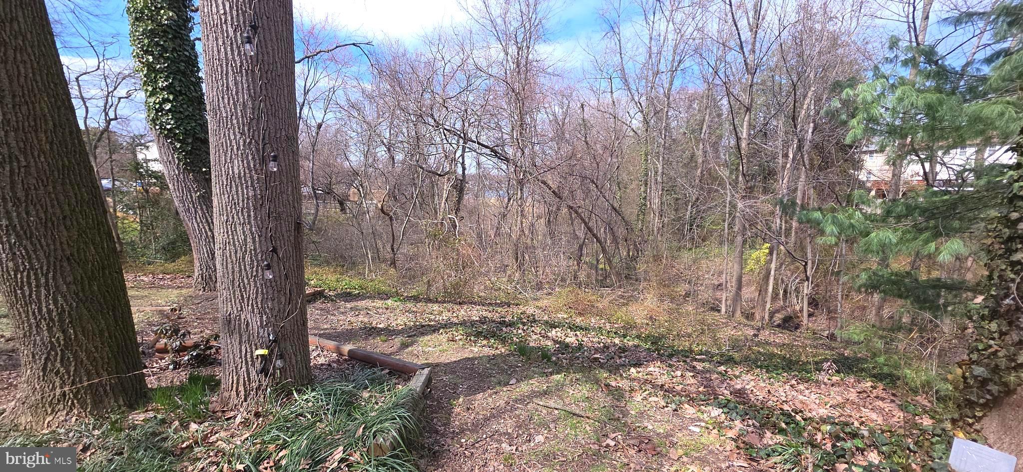 ELIZABETHS LANDING - Residential