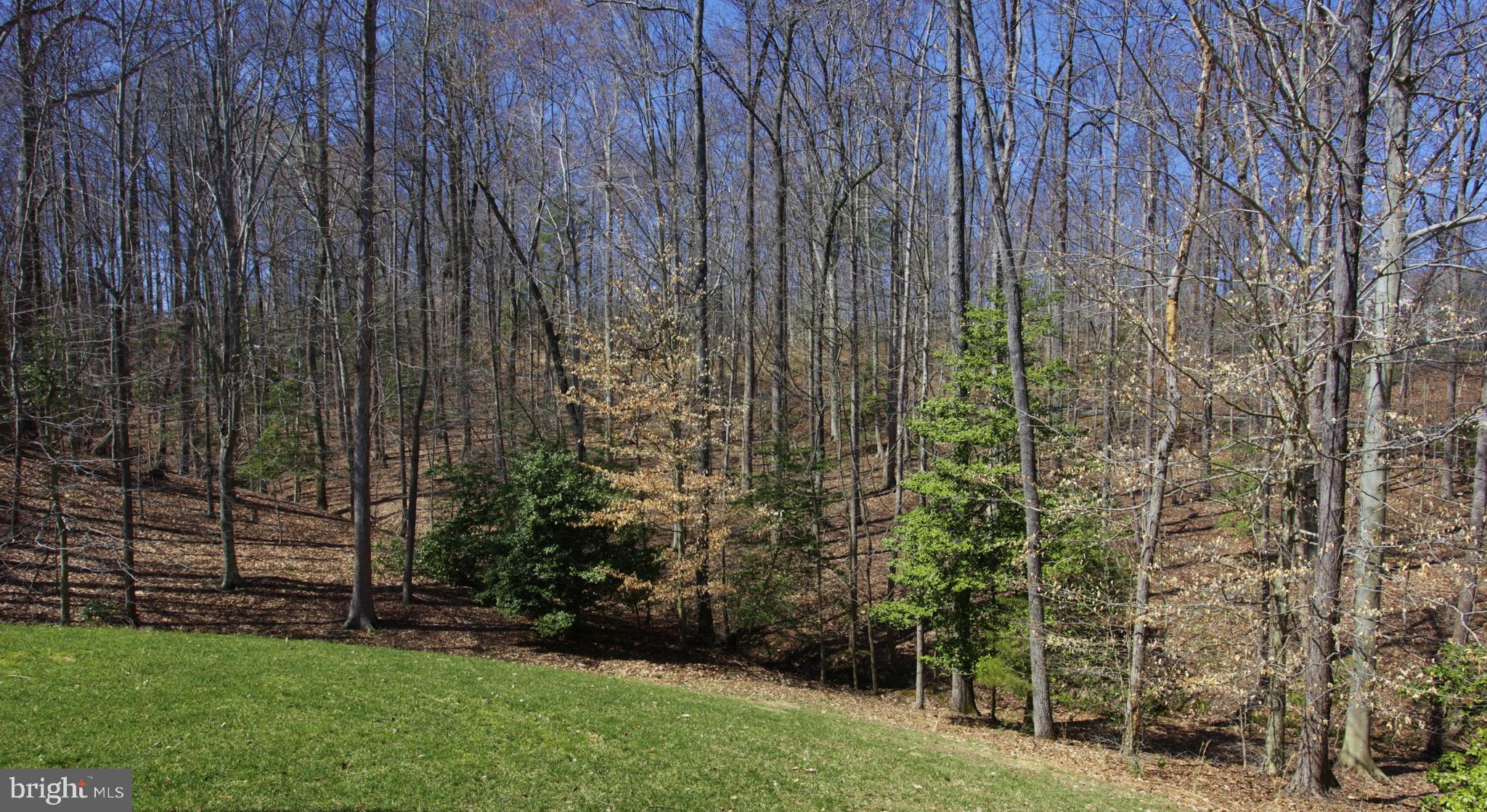 RIVER FALLS - Residential