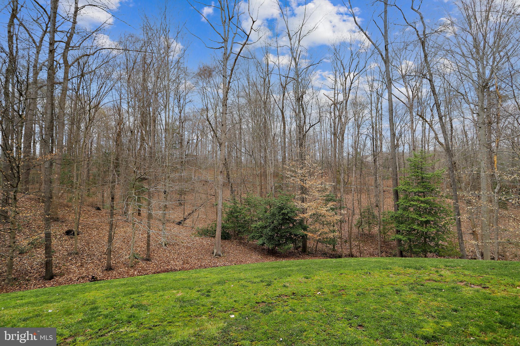 RIVER FALLS - Residential