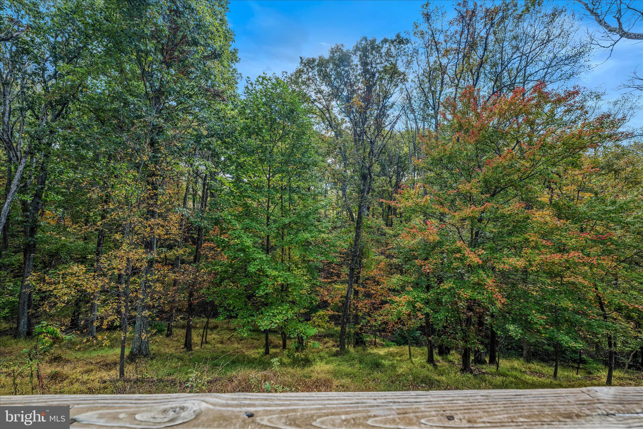 SHENANDOAH NORTH - Residential