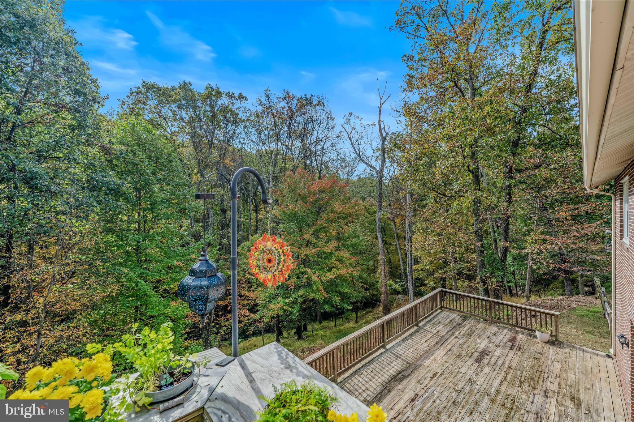 SHENANDOAH NORTH - Residential