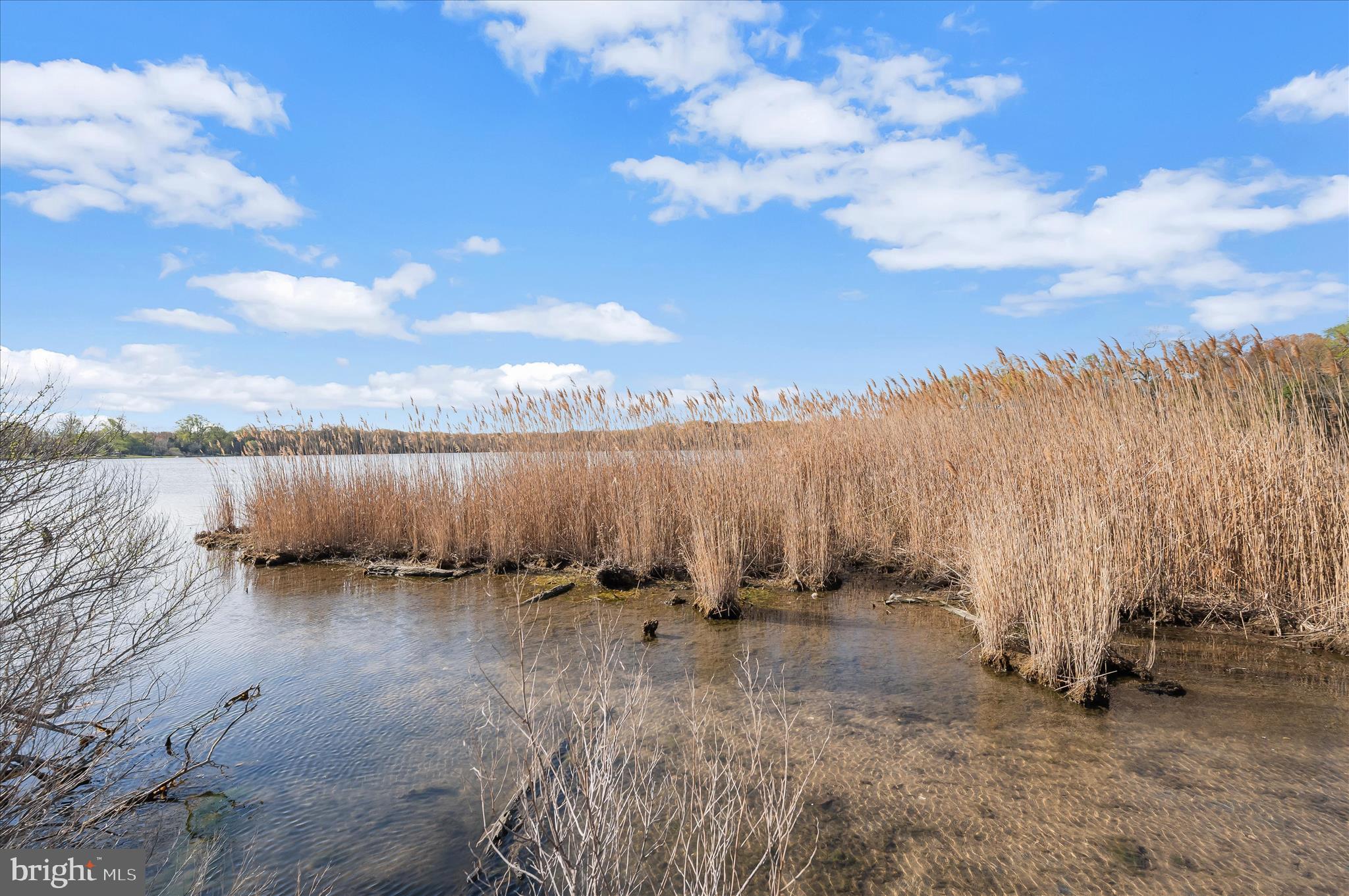 BAYSIDE BEACH - Residential