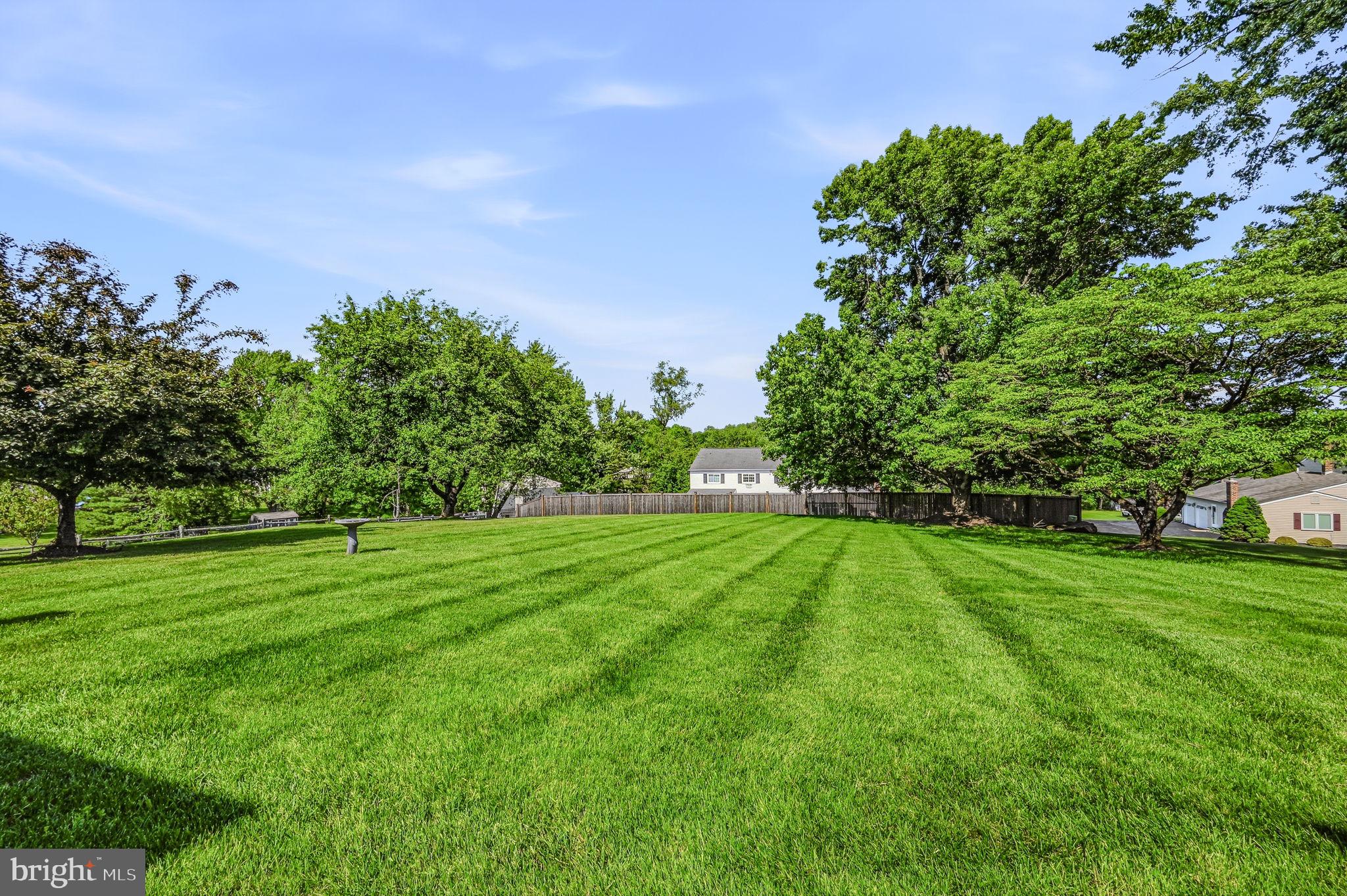 1337 MARK DRIVE
