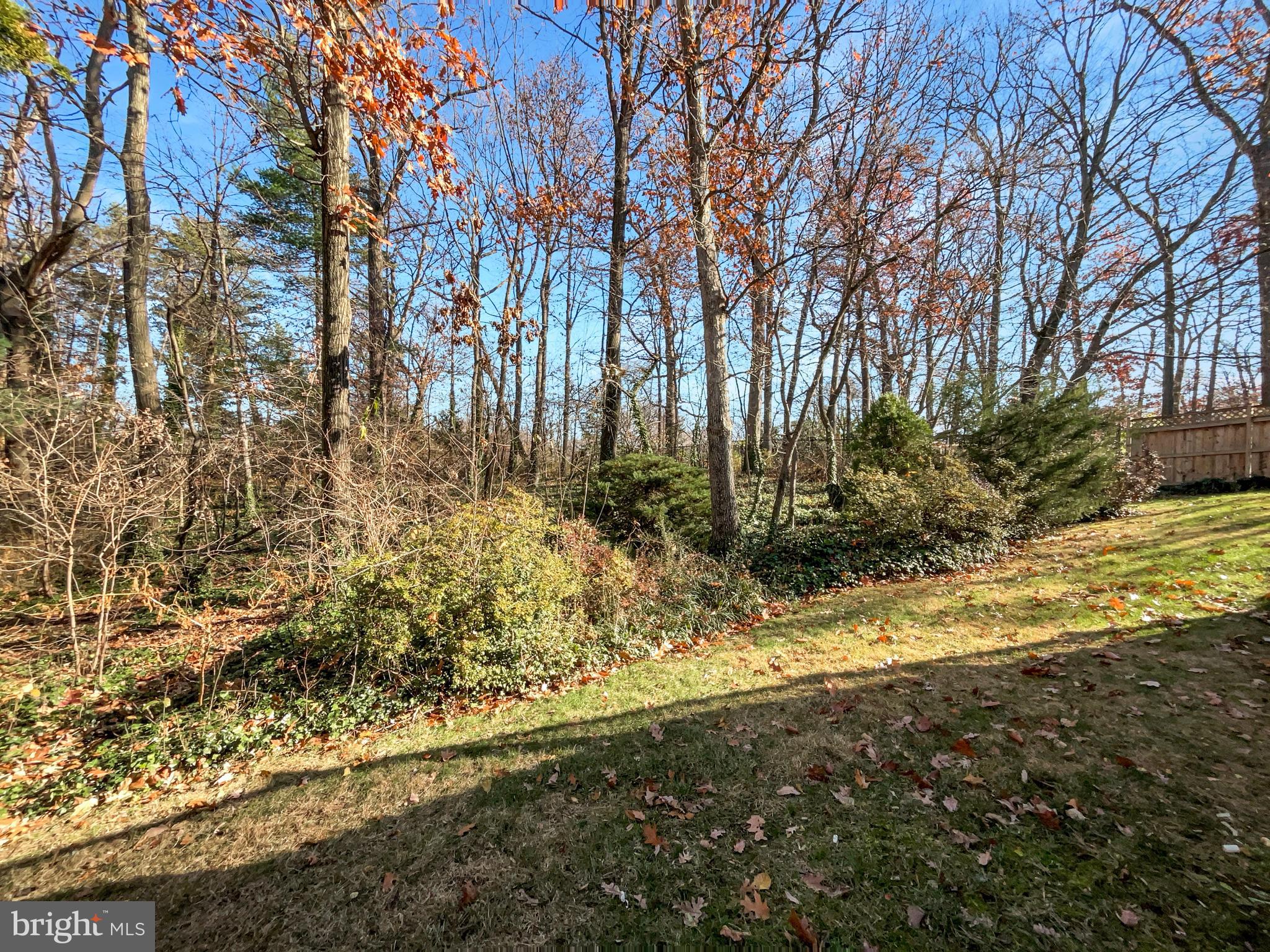 BUSH HILL WOODS - Residential