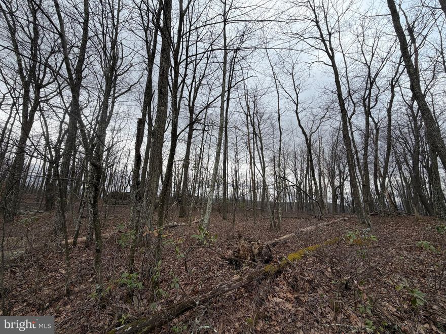 Priced to sell.  Cove Village is situated in the foothills of the Poconos and only 1 1/2 hours to New York. With the right excavation this lot could have gorgeous views.  The adjoining lot (287.1) is also for sale as a separate listing.  This could be where you build your getaway or your forever home.  With easy access to I-81, your commute to Hazleton, Wilkes-Barre, or Scranton is a breeze.  Bring your own builder and let's make your dreams come true.   Your building costs are lower here since public water and sewer are already in place, ready for you to connect through Aqua of Pa.  Do you desire a cabin or home where you can hunt, fish, ATV, snowmobile, and more?  How does approximately 750 acres of unoccupied prime hunting, ATV, and snowmobile riding land sound to you?  Yes, that's right!  Adjoining the residential portion of Cove Village is just that for residents of the community and their guests!  Driving through the community, the peace and tranquility will envelop you.  The homes vary from rustic cabins, chalets, traditional ranch, two-story homes, exquisite new construction, and even dreamy mountain log homes.  There really is something for everyone.  The approximately 278 acres of residential homes and lots are occupied by full-time residents, part-time vacation homes, and even some snowbird second homes.  Cove Village is located in the mountains of Northeastern Pennsylvania and offers an abundance of amenities including a swimming pool, stocked fishing lake, a basketball court, tennis courts, a volleyball court, 2 playgrounds, a baseball field, ATV paths, hunting, a mini golf course, walking paths, and year-round Community events.  I can't forget to mention the beautiful lodge ideal to rent for family gatherings.   This lot and community just might be exactly what you've been looking for.  Air B and B are not permitted. Camping on vacant lots is not permitted.  Mobile homes are not permitted.  The minimum square footage when building is 1400 square feet.  The community maintains the roads and snow removal.  Trash collection is also provided.   An appointment is required to view due to the gated community.  Call to schedule your tour today!