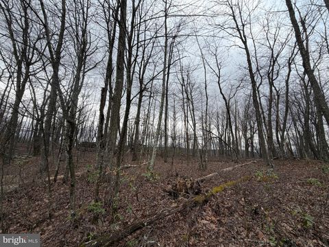 Vacant Land For Sale - LOT 287.2 Spring Mountain Dr<br/> ZION GROVE, PA 17985