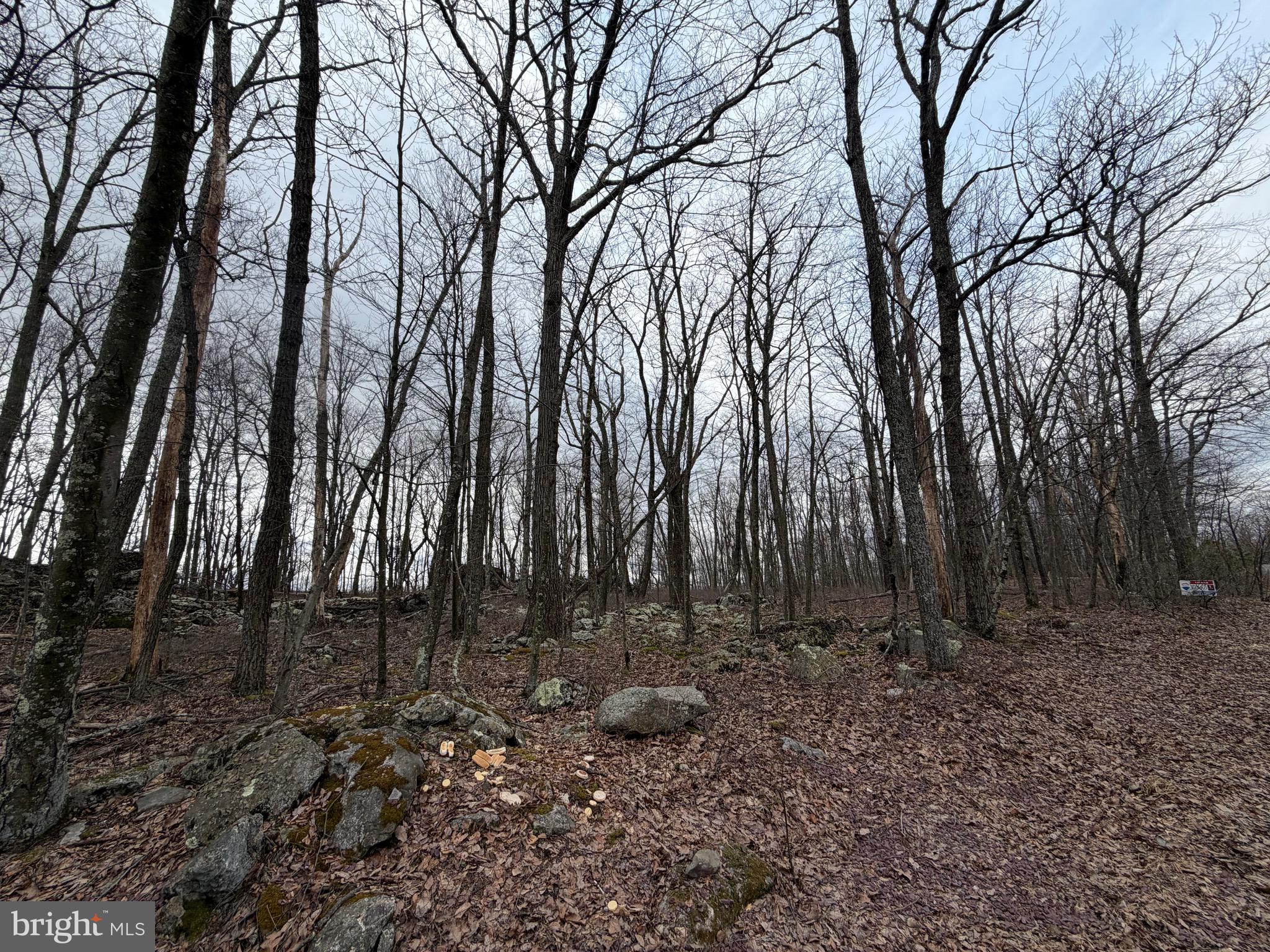 Lot 287.2 SPRING MOUNTAIN DR