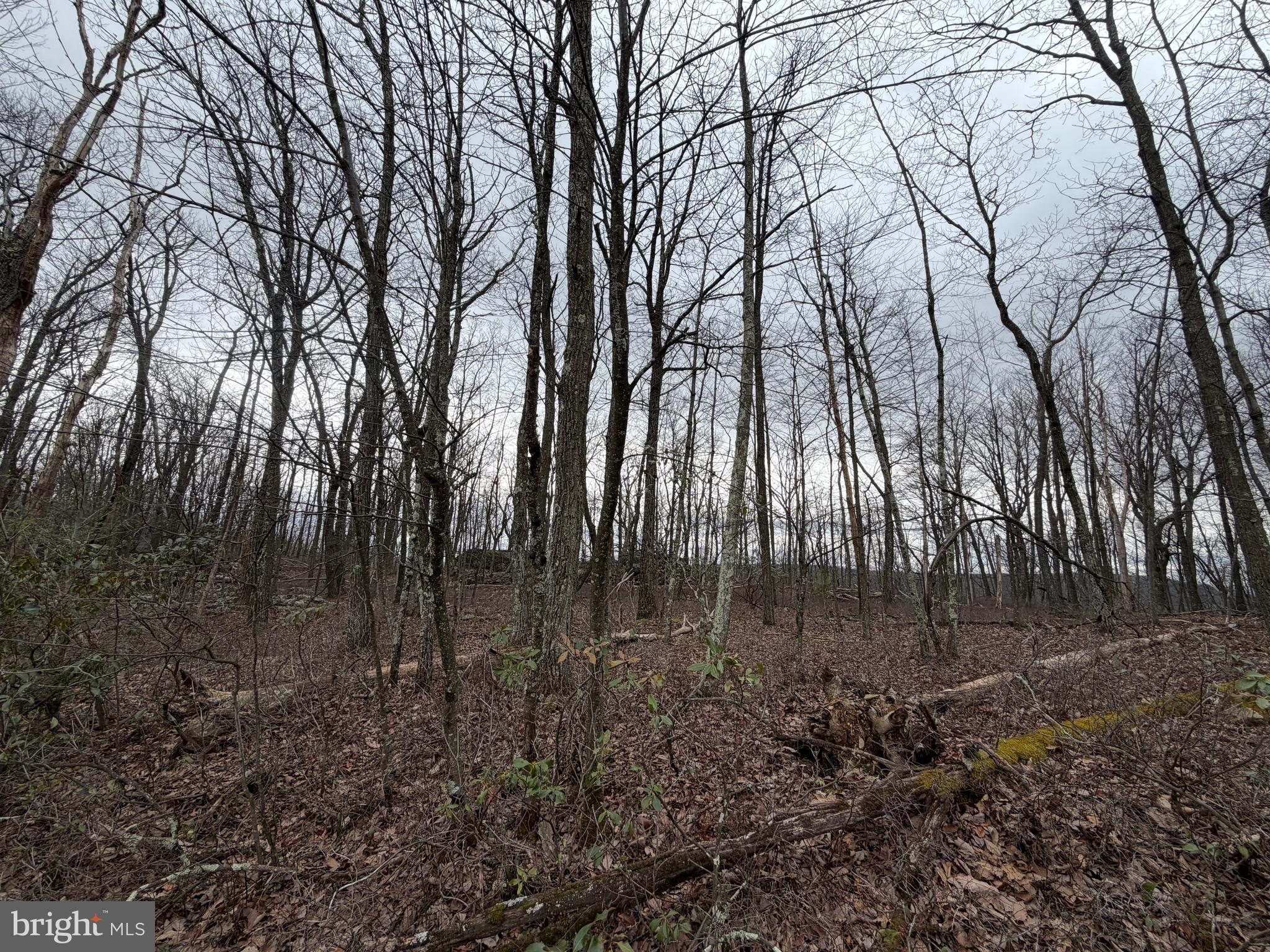 Lot 287.2 SPRING MOUNTAIN DR