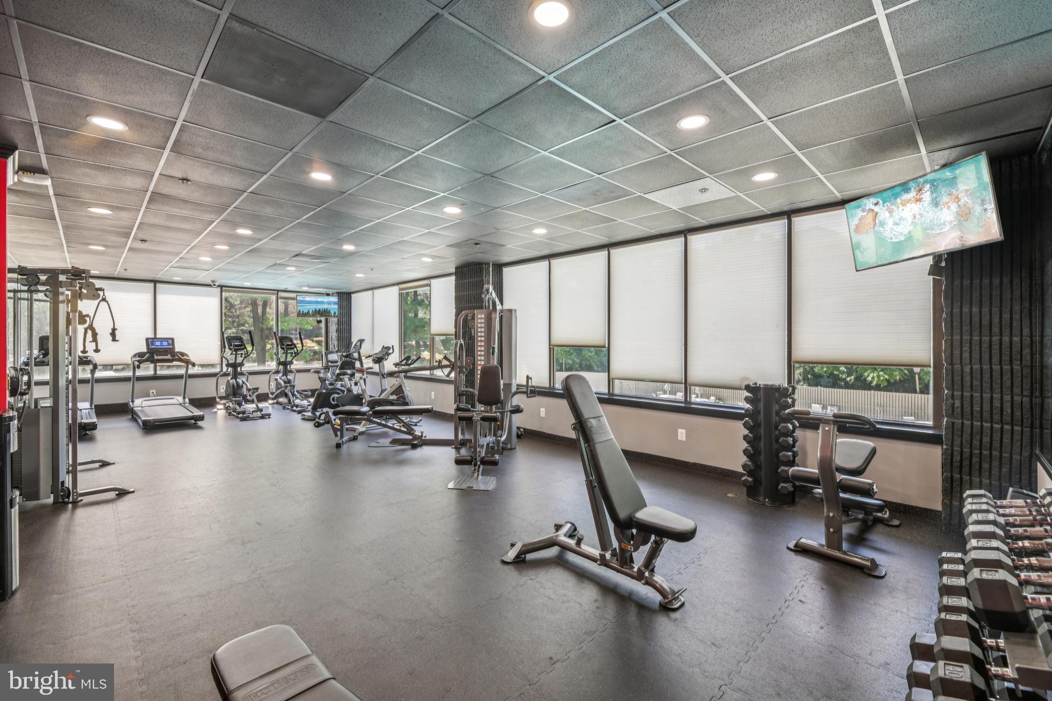 OLYMPUS - Residential