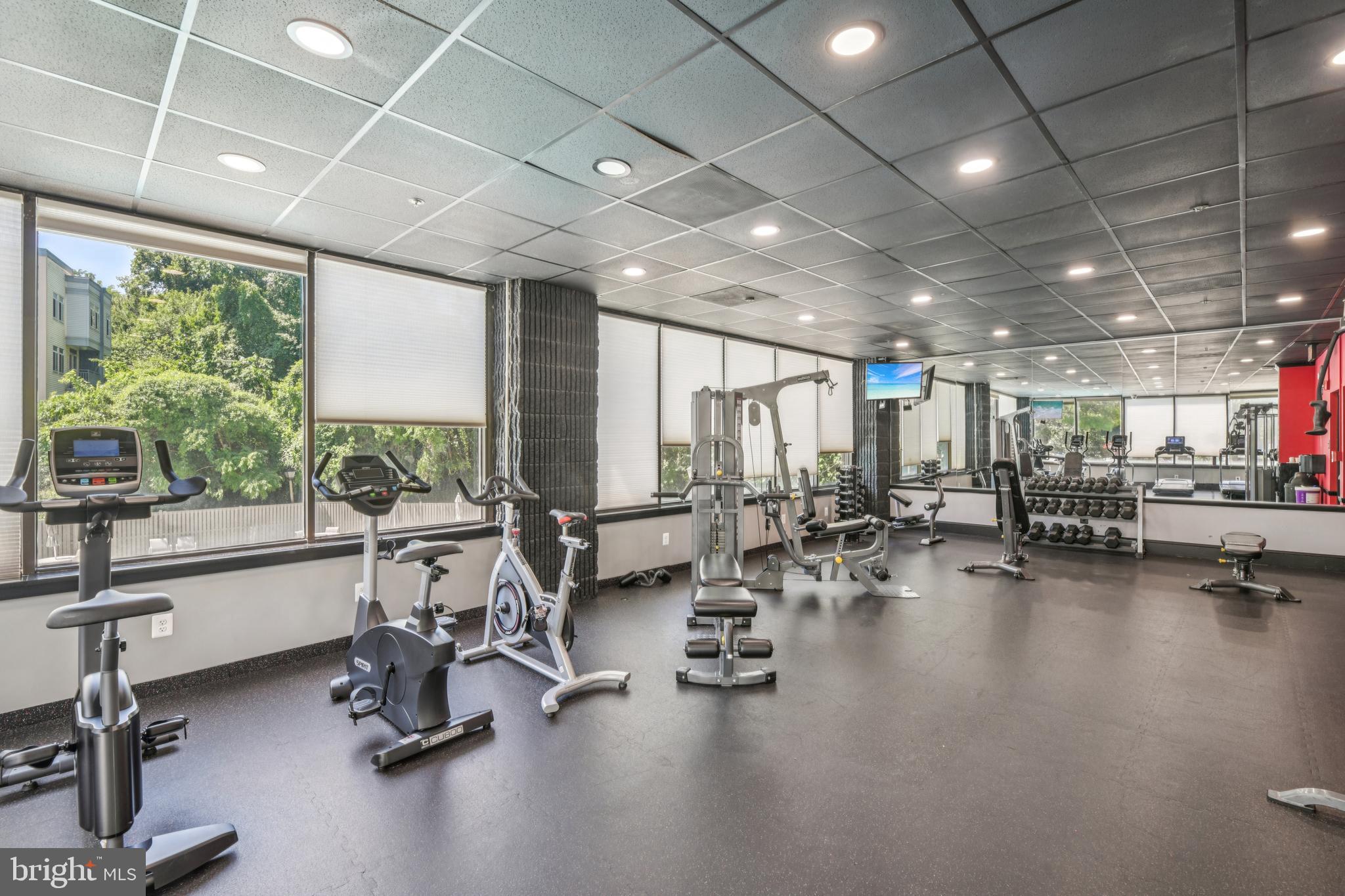 OLYMPUS - Residential