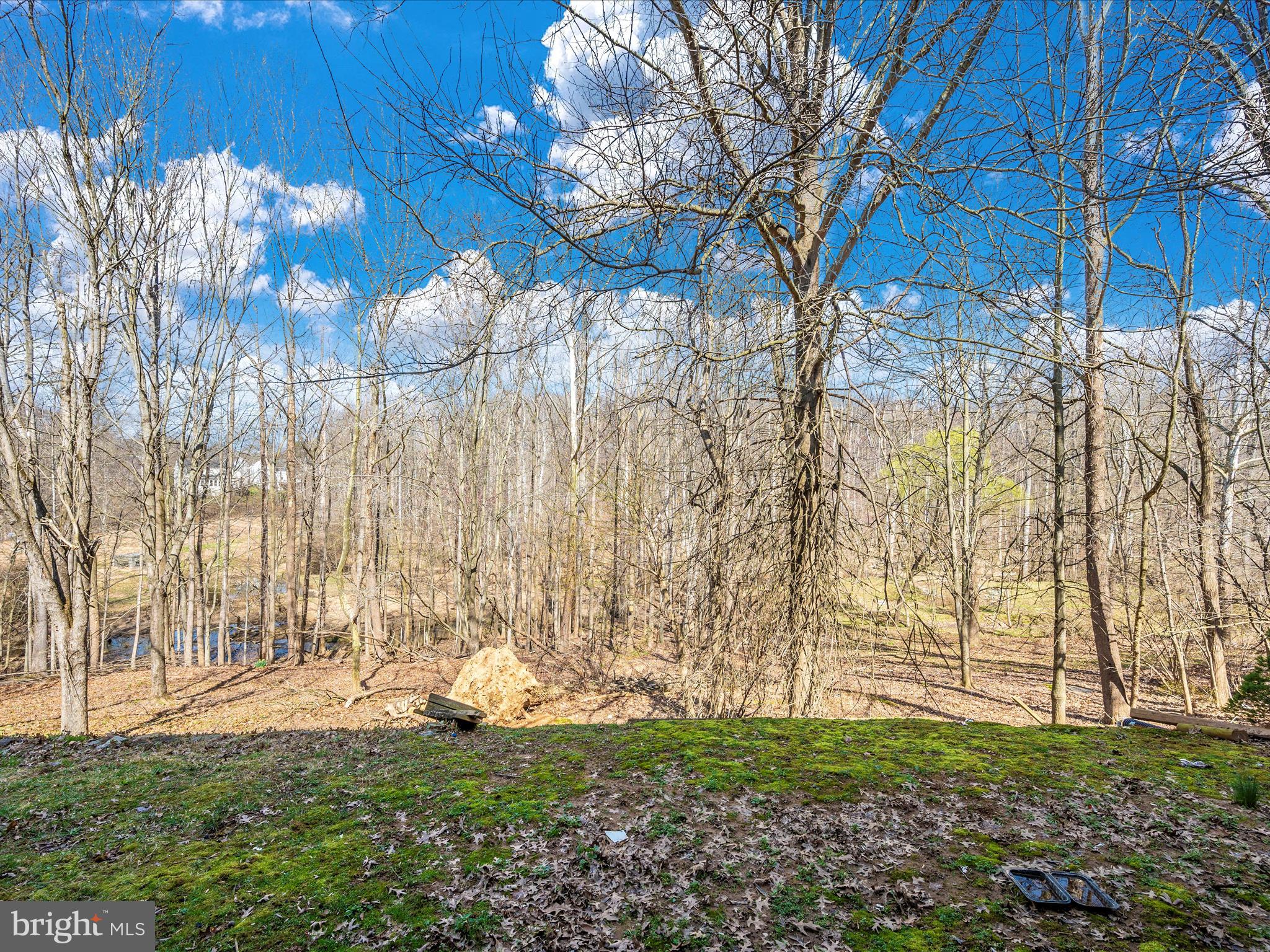 GERMANTOWN ESTATES - Residential