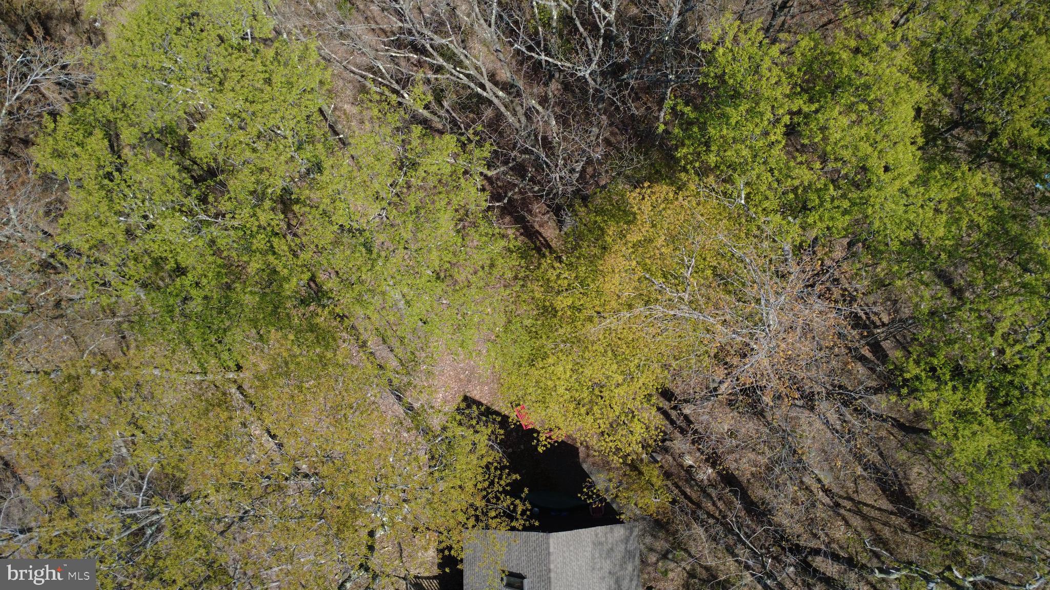 ARROWHEAD  LAKES - Residential