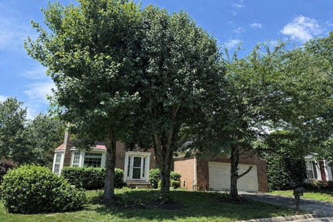 Photo of 20941 Lohengrin Court, ASHBURN, VA 20147 (MLS # VALO2128272)