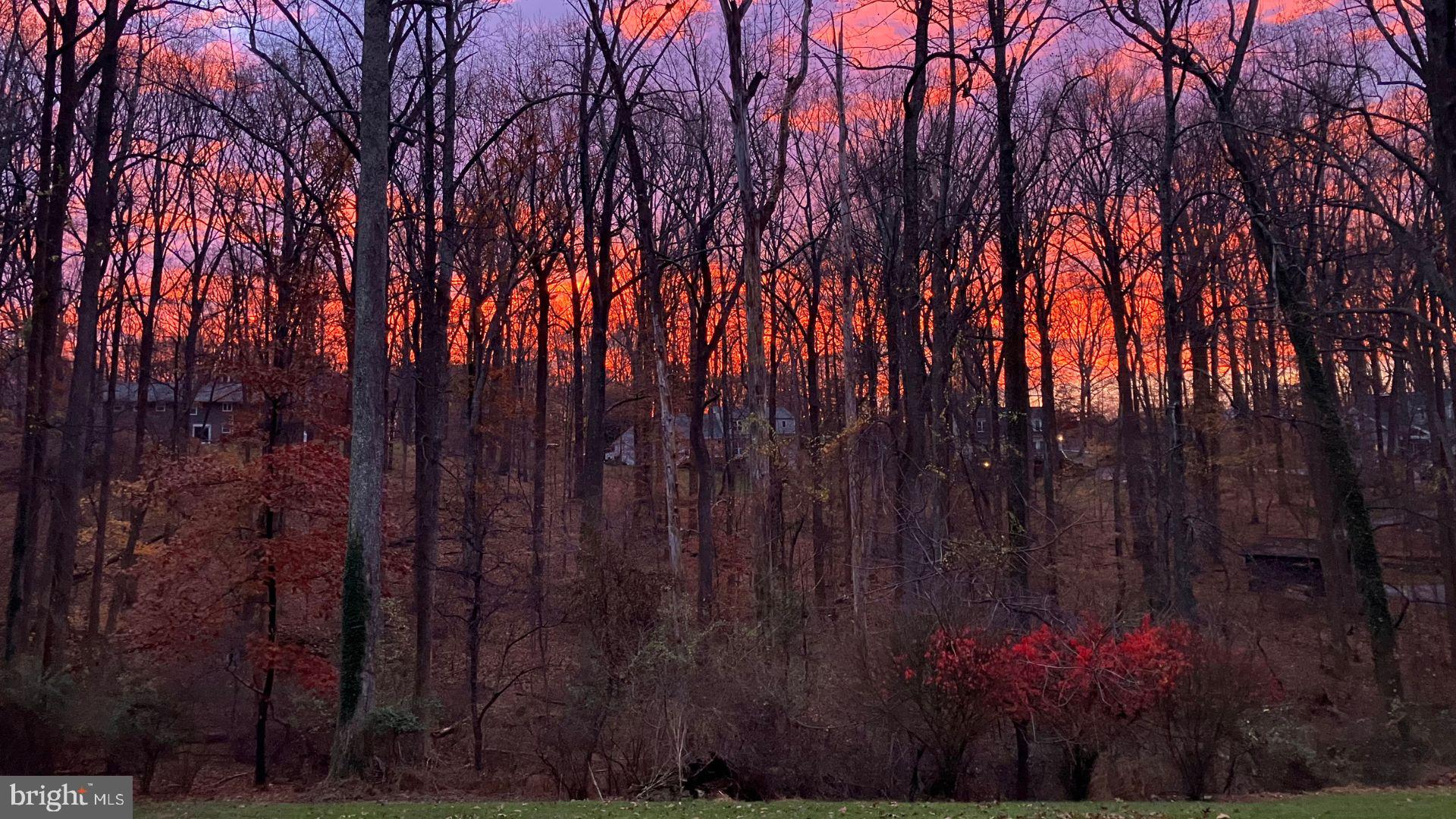 11112 OLD CARRIAGE ROAD