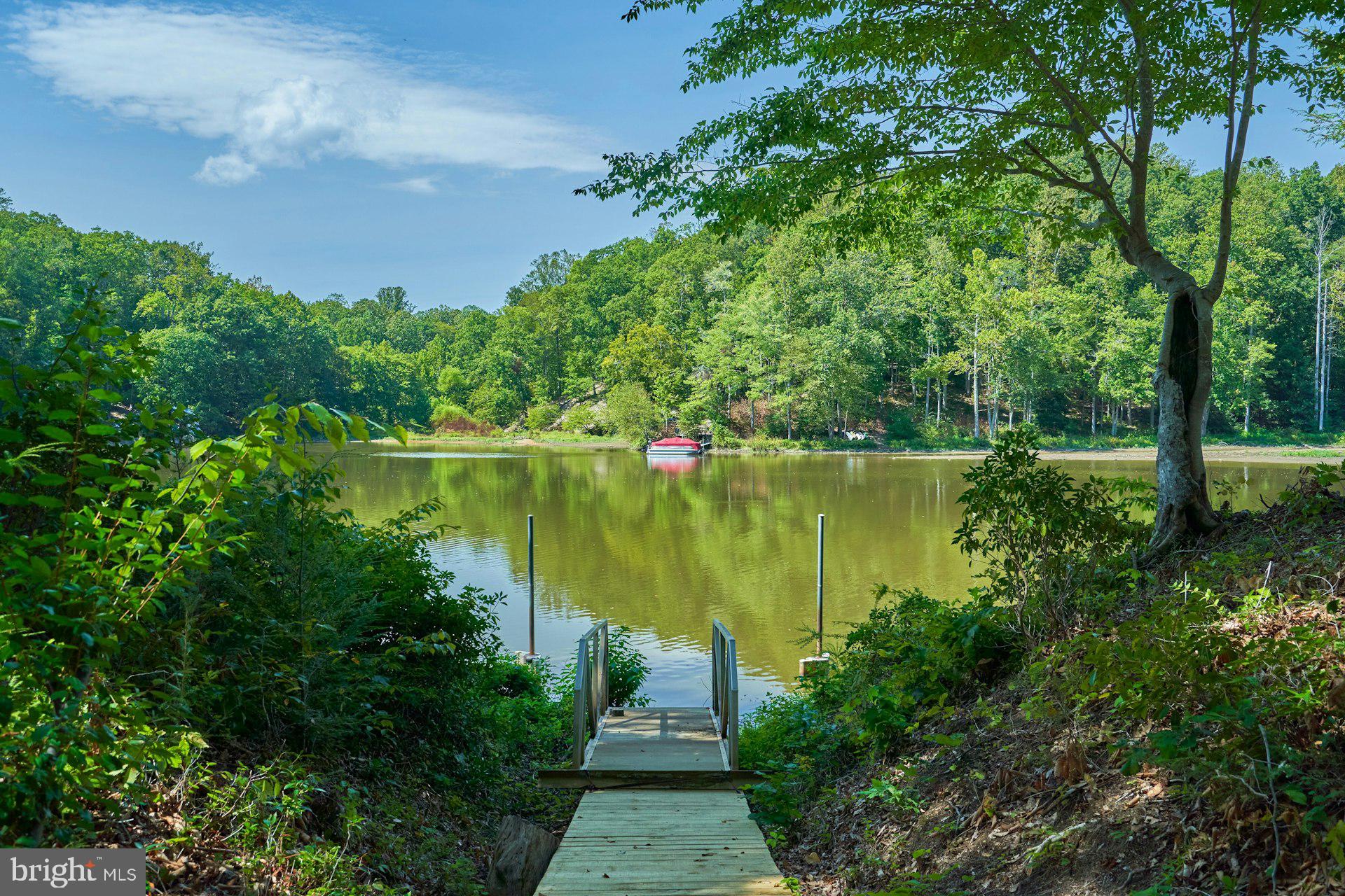 CATHEDRAL FOREST - Residential