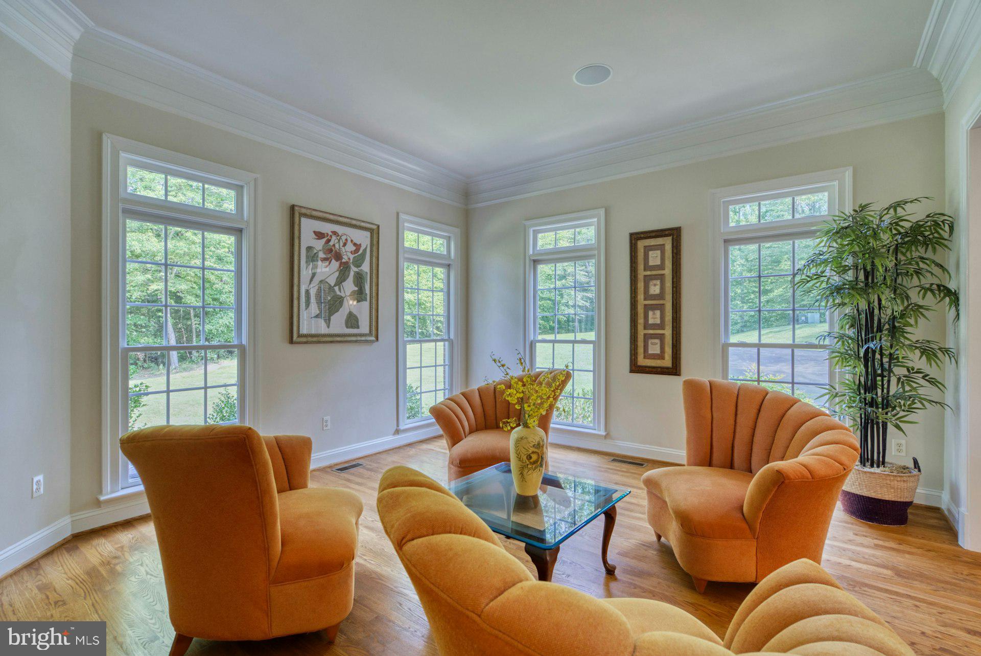 CATHEDRAL FOREST - Residential