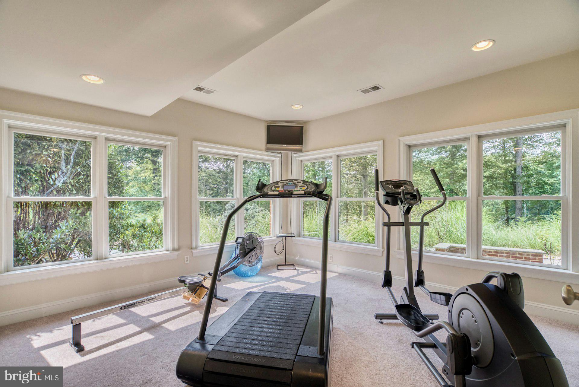 CATHEDRAL FOREST - Residential